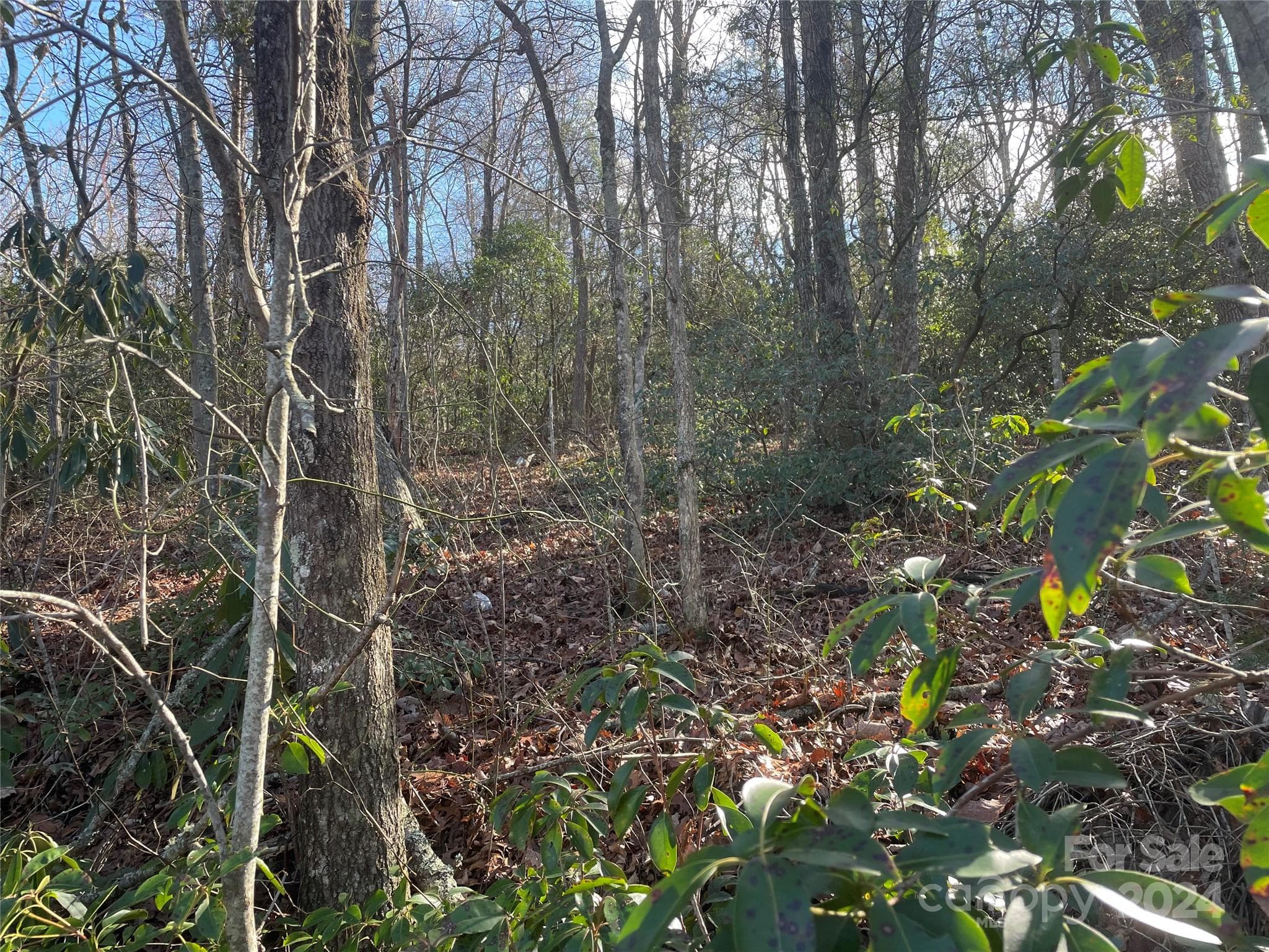 Lot at 146 Center Street, Black Mountain, photo 3 of 14