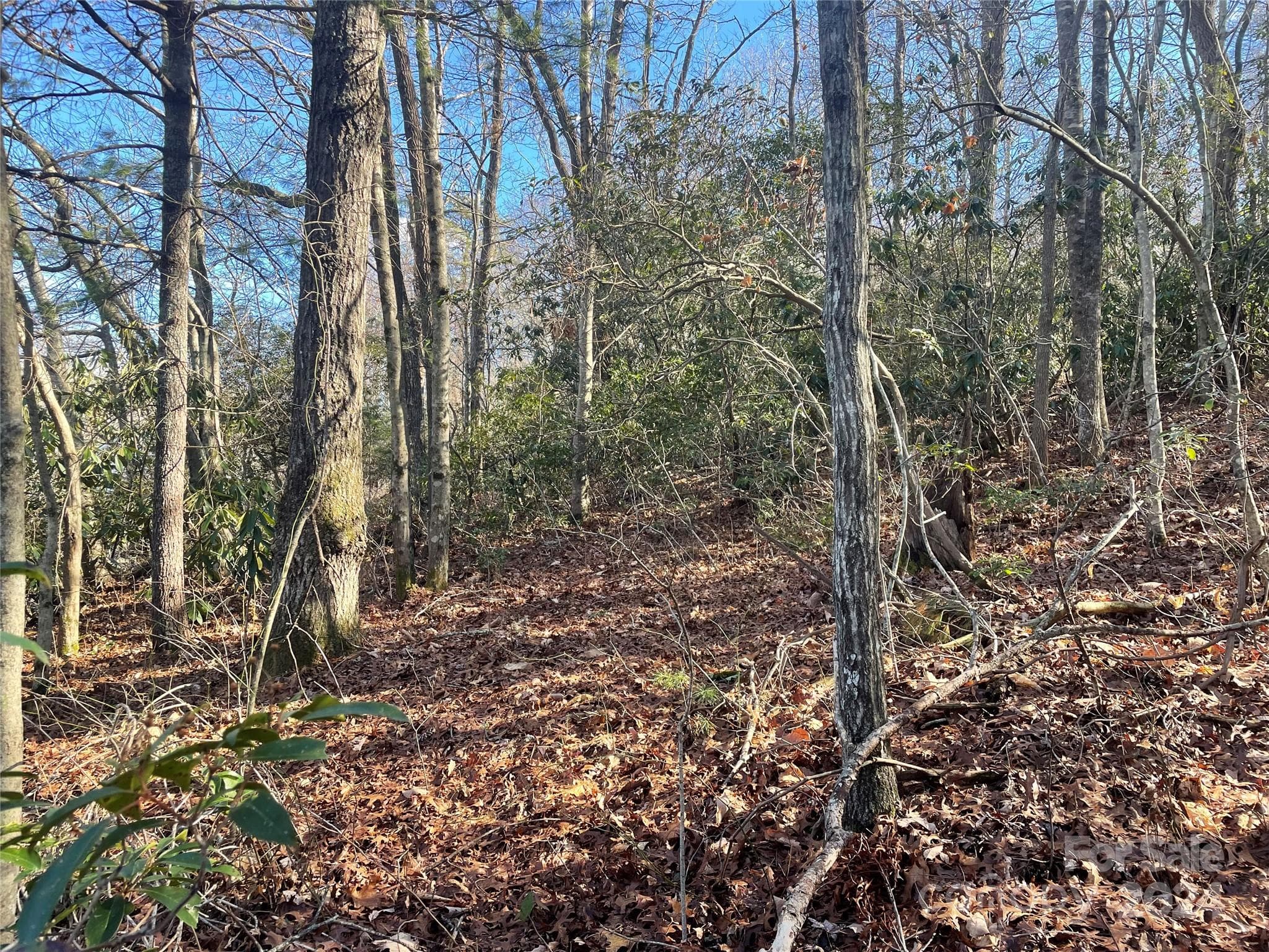 Lot at 146 Center Street, Black Mountain, photo 4 of 14