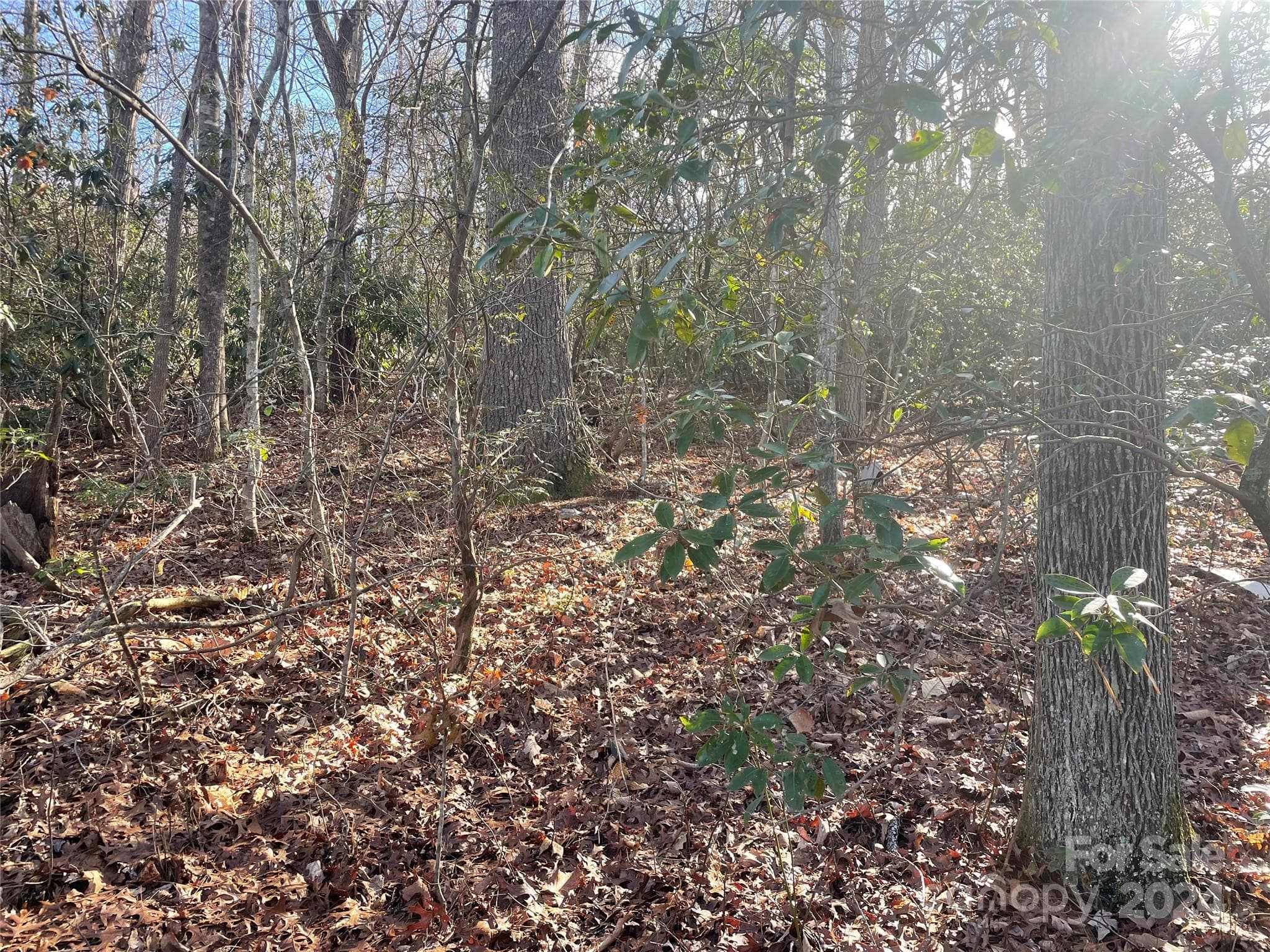 Lot at 146 Center Street, Black Mountain, photo 5 of 14