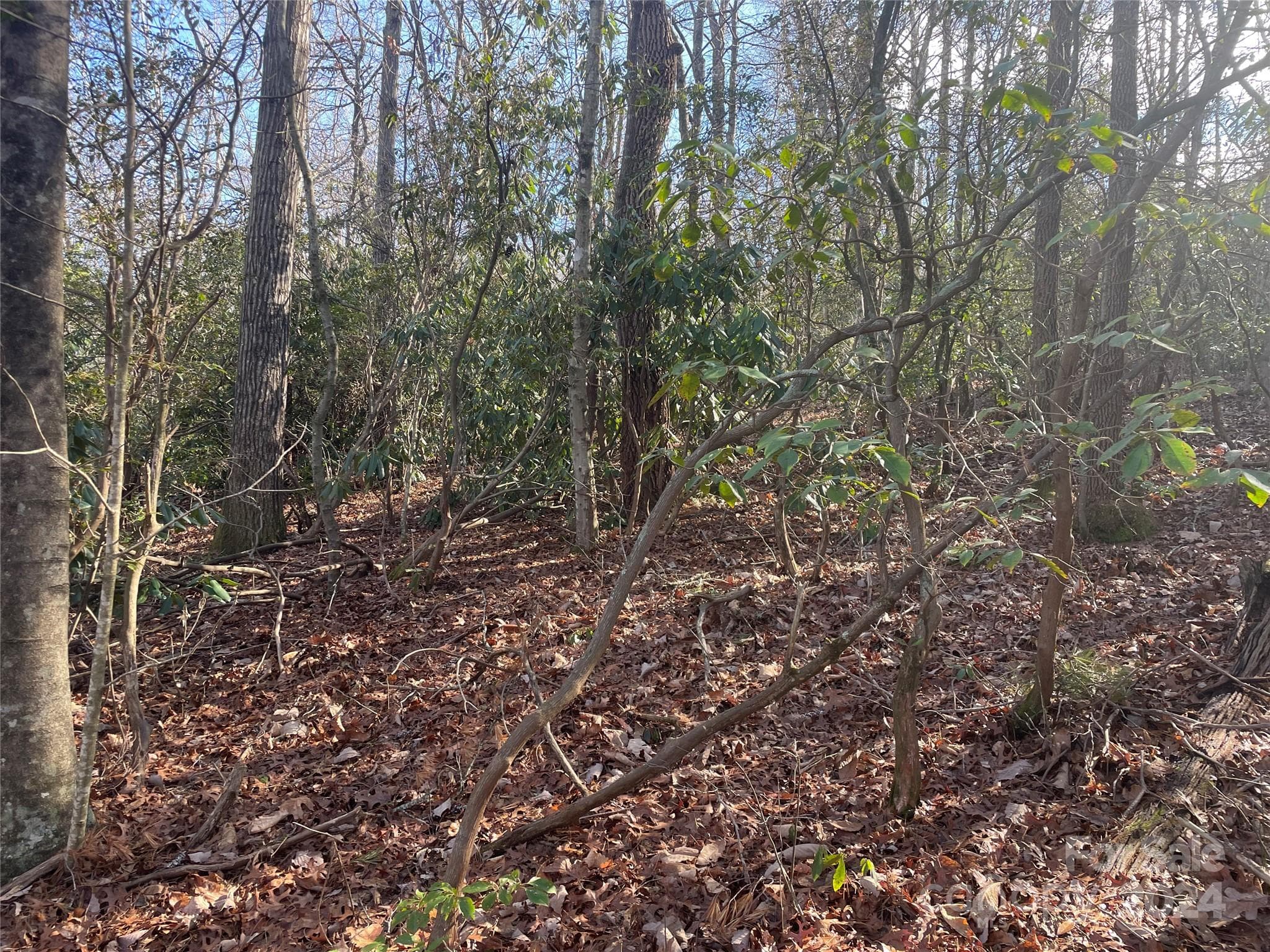 Lot at 146 Center Street, Black Mountain, photo 7 of 14