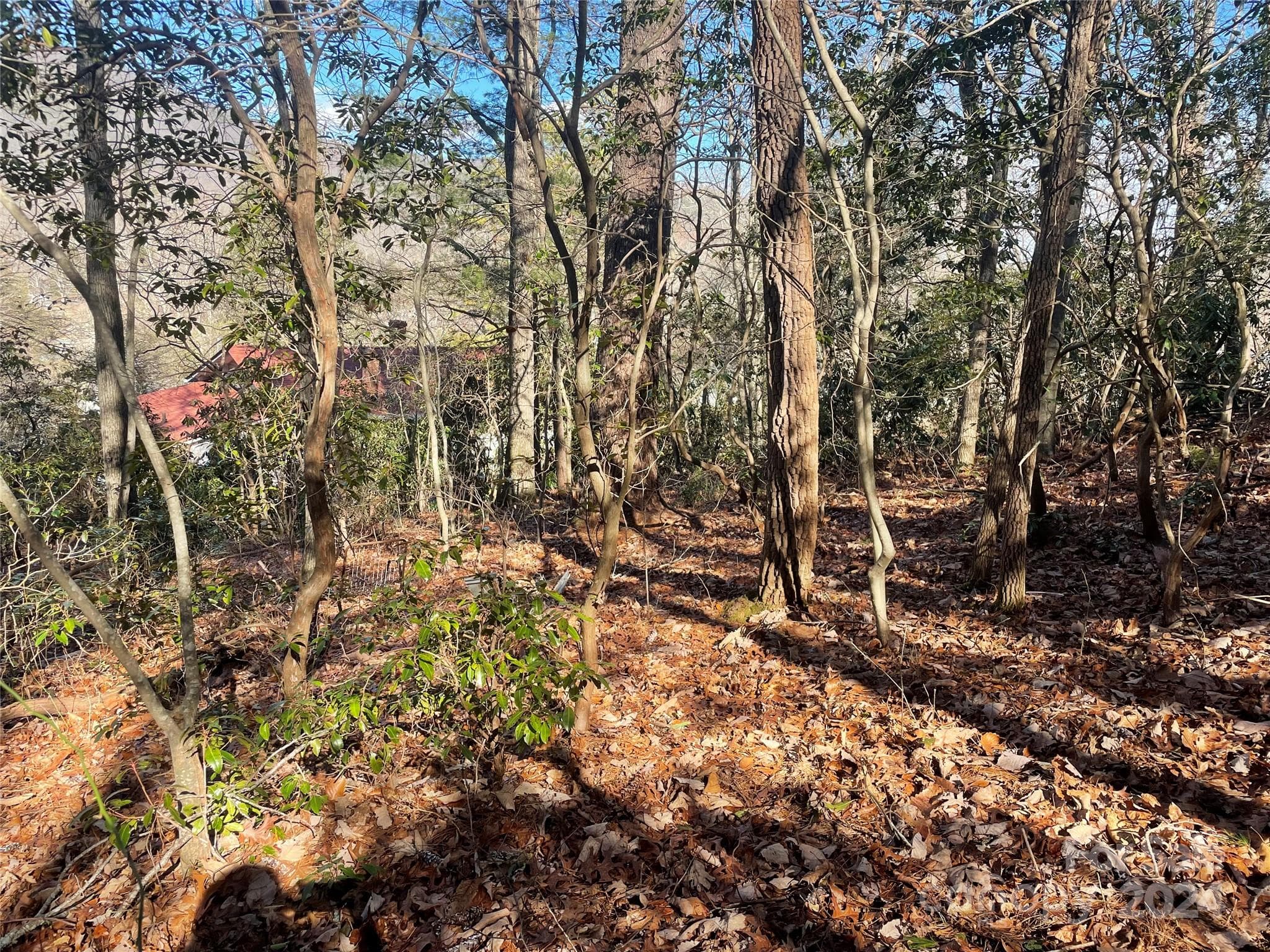 Lot at 146 Center Street, Black Mountain, photo 10 of 14