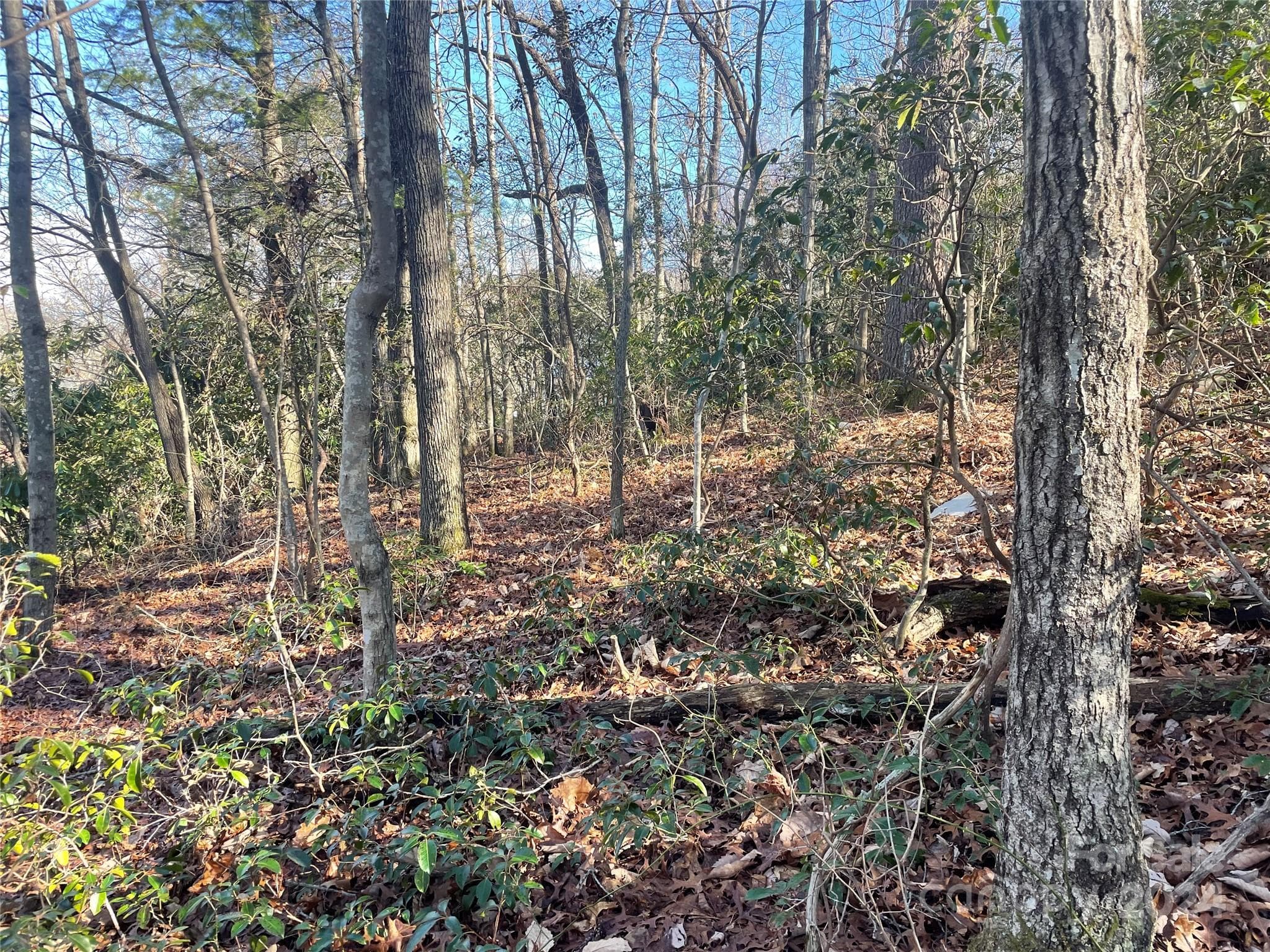Lot at 146 Center Street, Black Mountain, photo 12 of 14