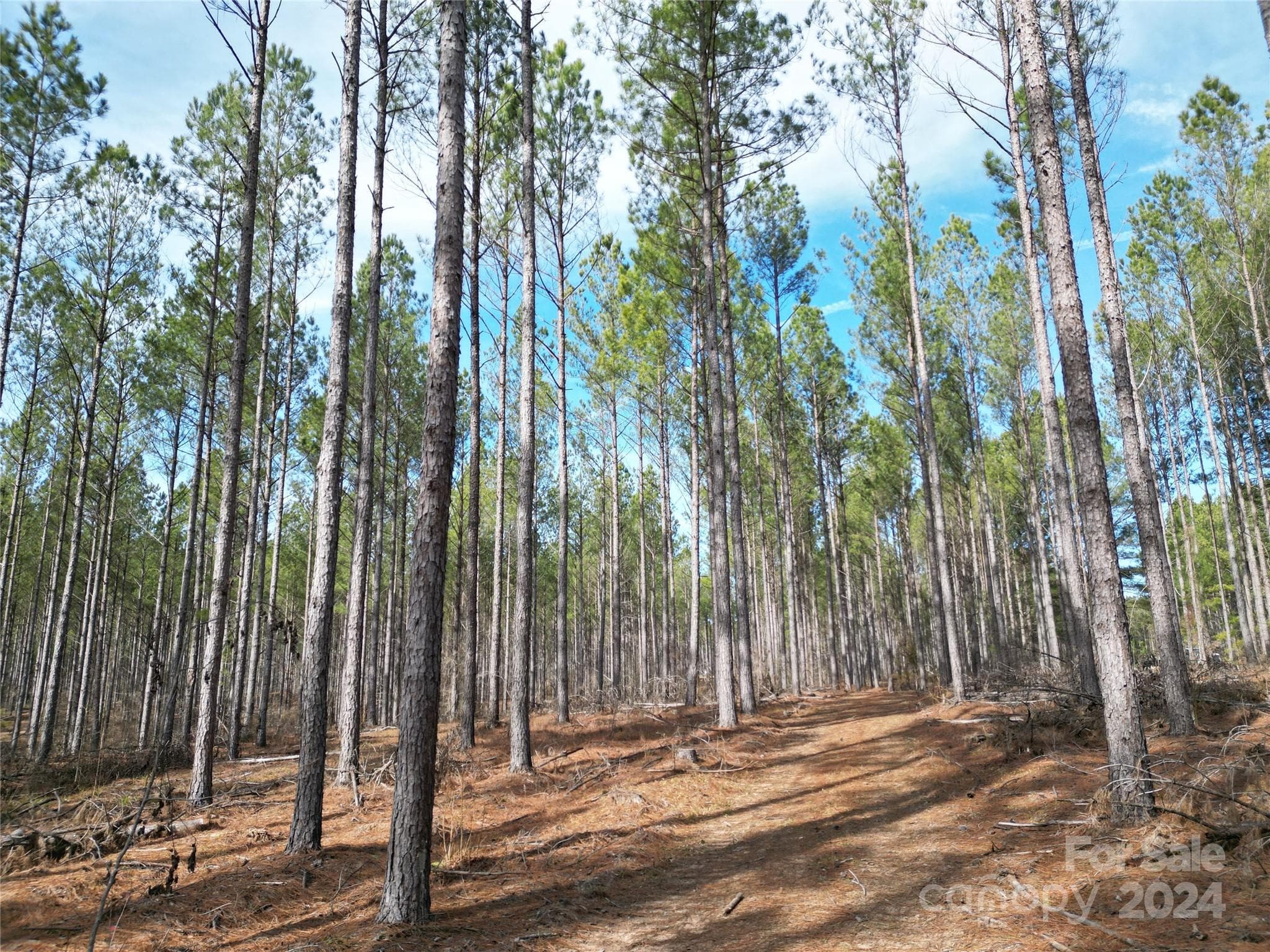 Lot at TBD Spencer Pointe Road, Lilesville, photo 6 of 22