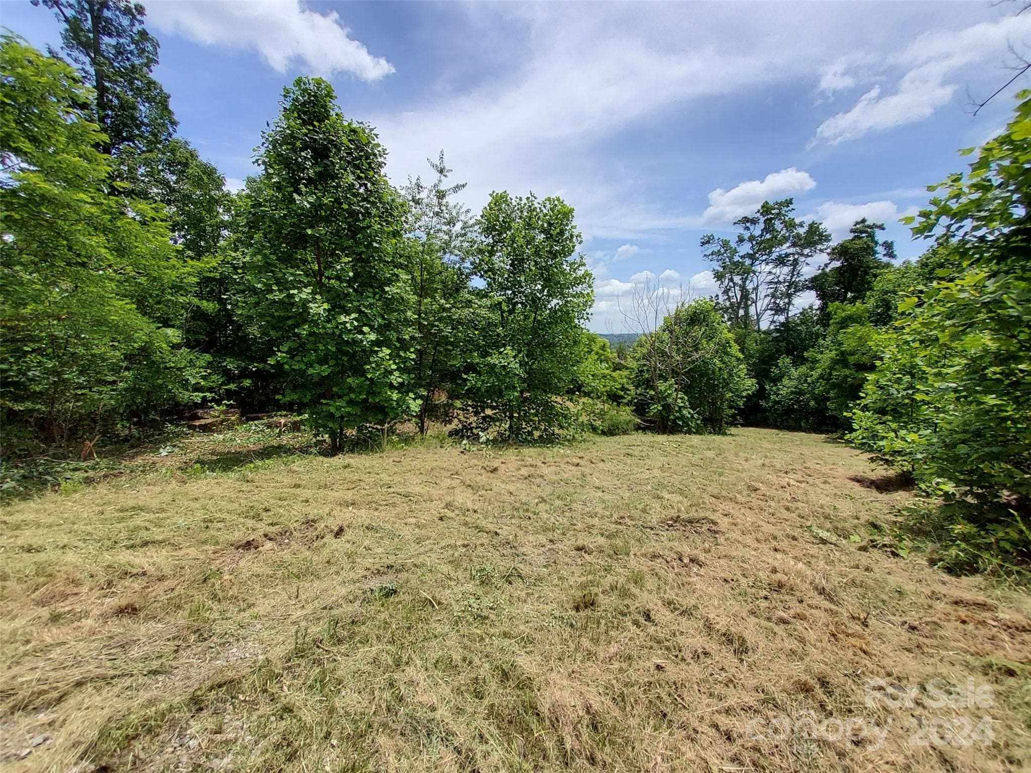 Homesite just behind Cluster of Trees~ - 0 Bear Cliff Way, Lake Lure