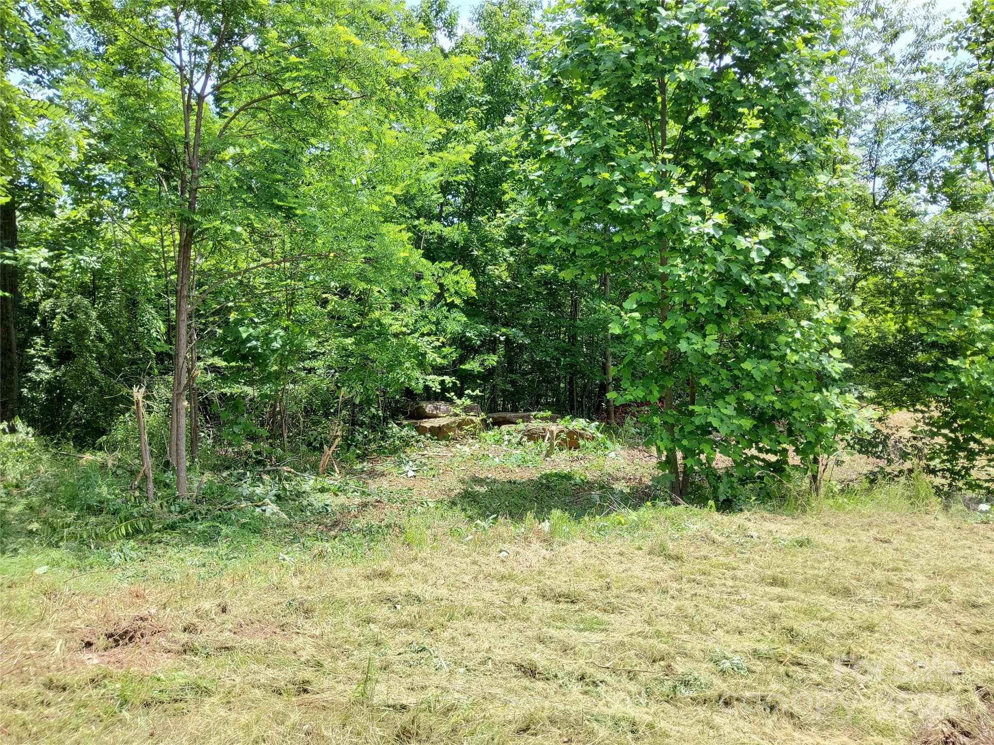 Entrance to Proposed Driveway~ - 0 Bear Cliff Way, Lake Lure