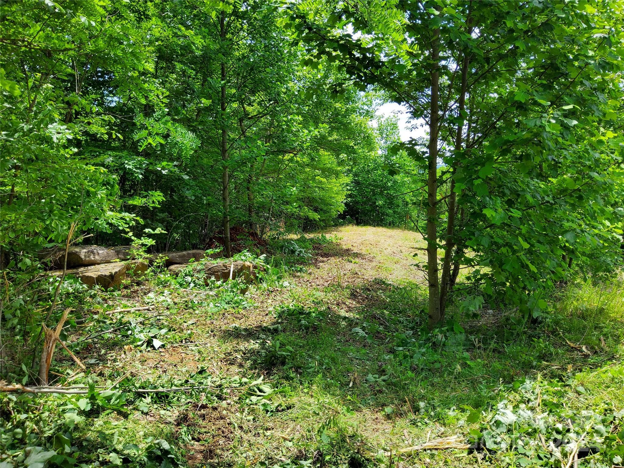 Proposed Driveway~ - 0 Bear Cliff Way, Lake Lure