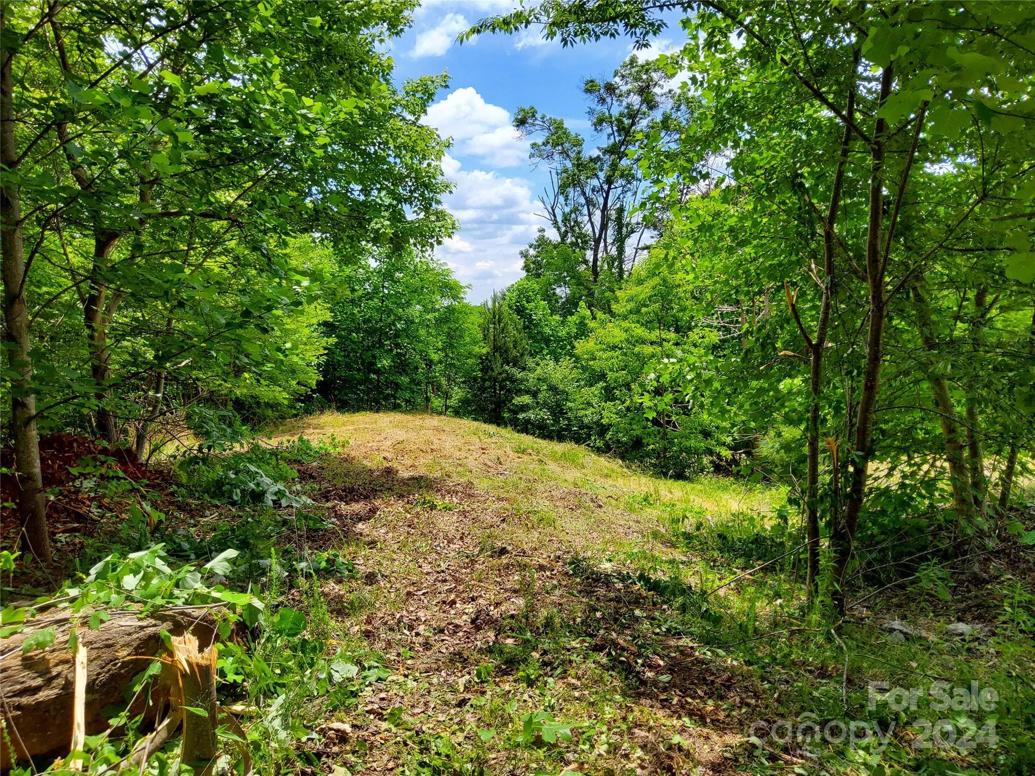 Homesite Knoll~ - 0 Bear Cliff Way, Lake Lure