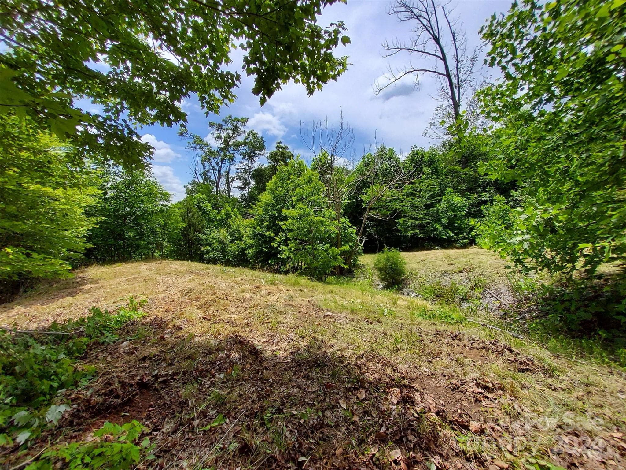 See cleared Homesite~ - 0 Bear Cliff Way, Lake Lure