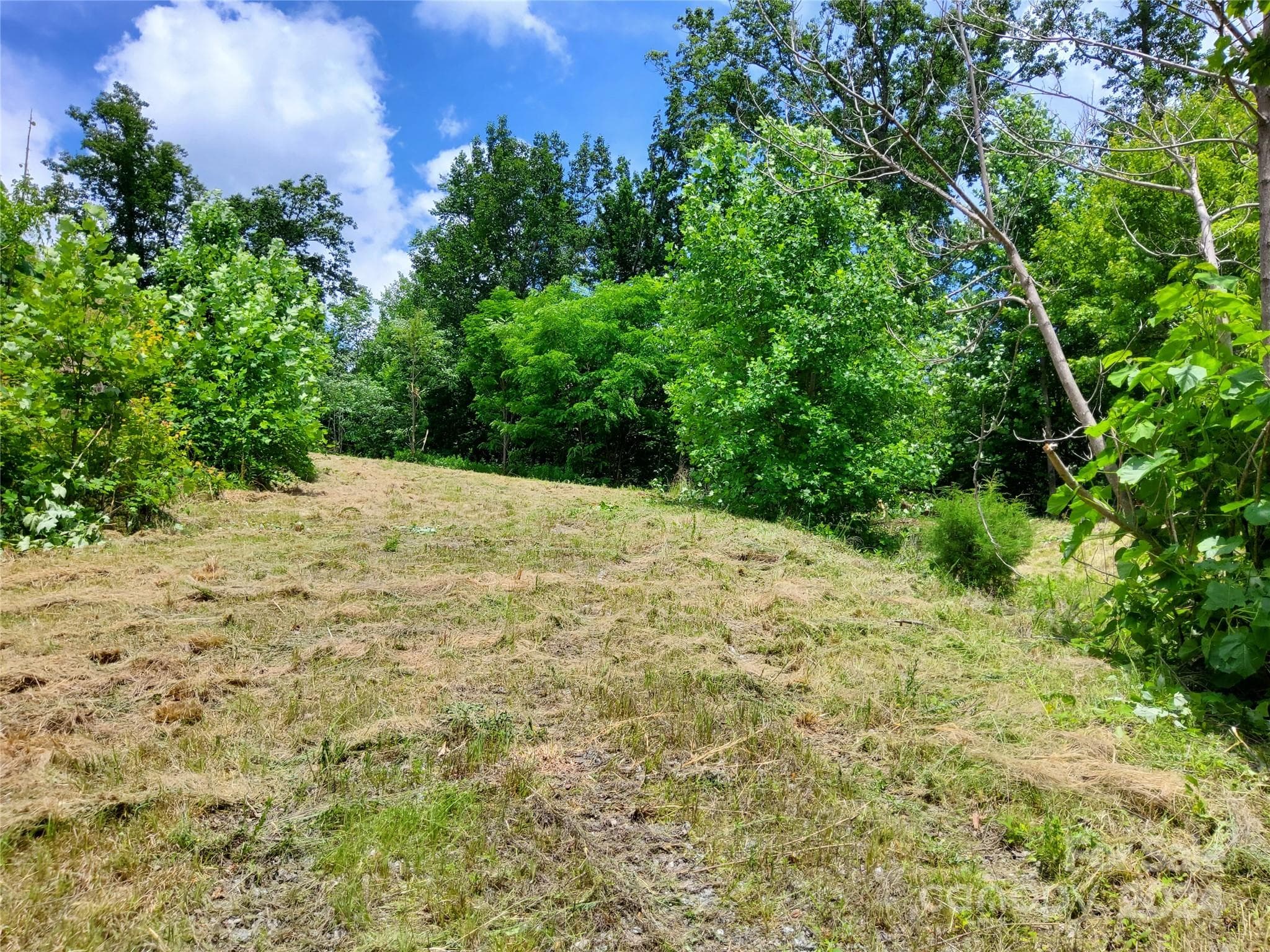 Homesite~ - 0 Bear Cliff Way, Lake Lure