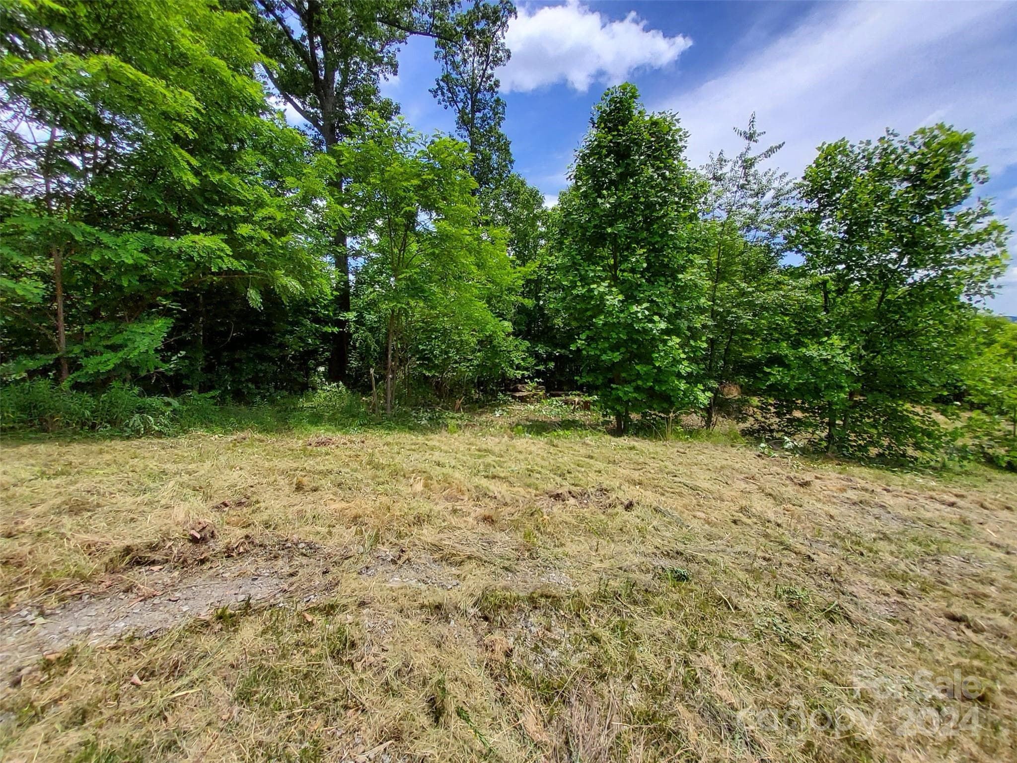 Level & Ready to Build On~ - 0 Bear Cliff Way, Lake Lure