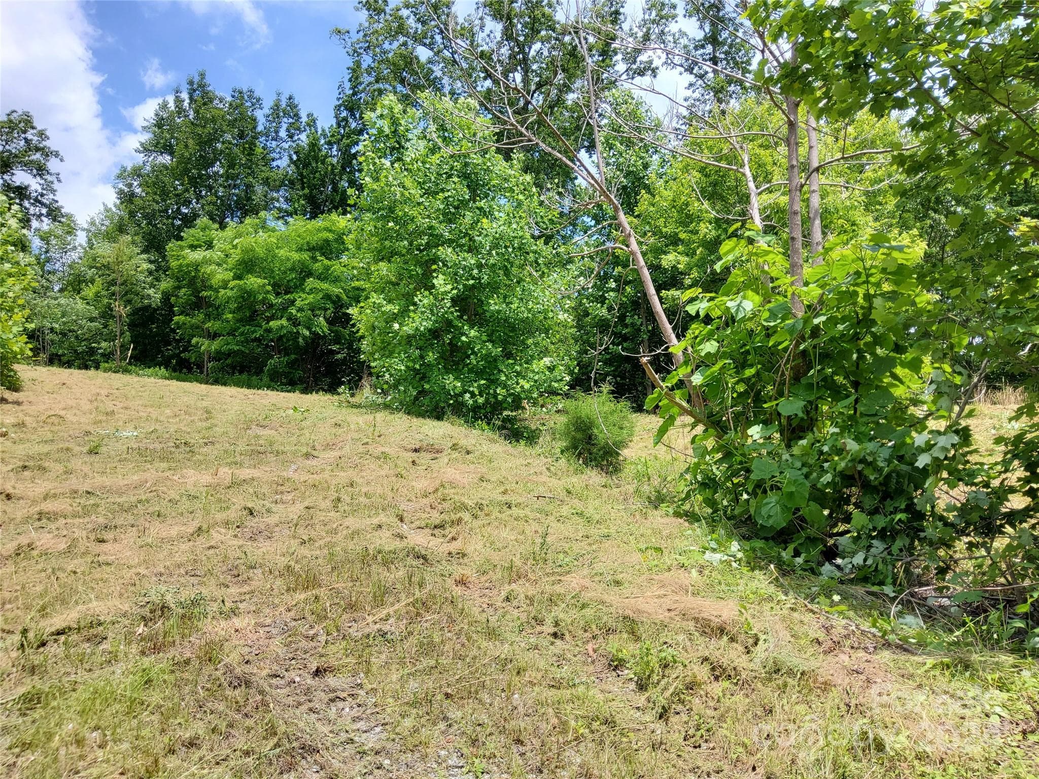 Lot at 0 Bear Cliff Way, Lake Lure, photo 16 of 31