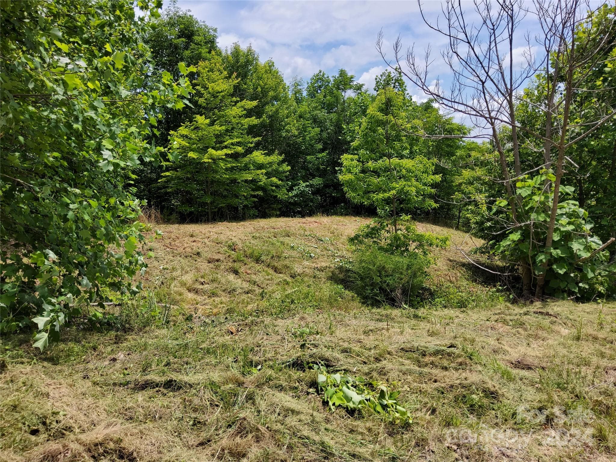 View of Homesite from Gravel Rd~ - 0 Bear Cliff Way, Lake Lure