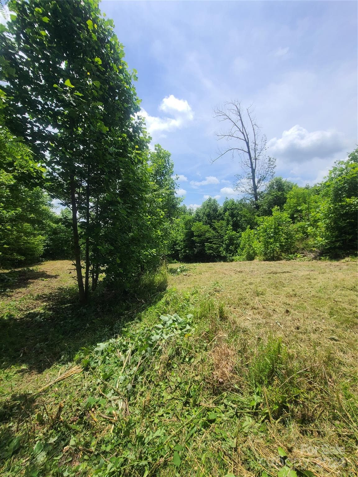 View from Bottom Corner of Lot~ - 0 Bear Cliff Way, Lake Lure