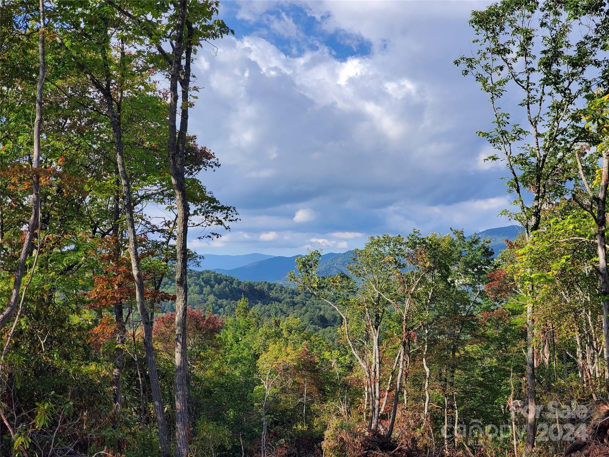 Acreage at TBD Parkwood Hill Road, Spruce Pine, photo 35 of 48