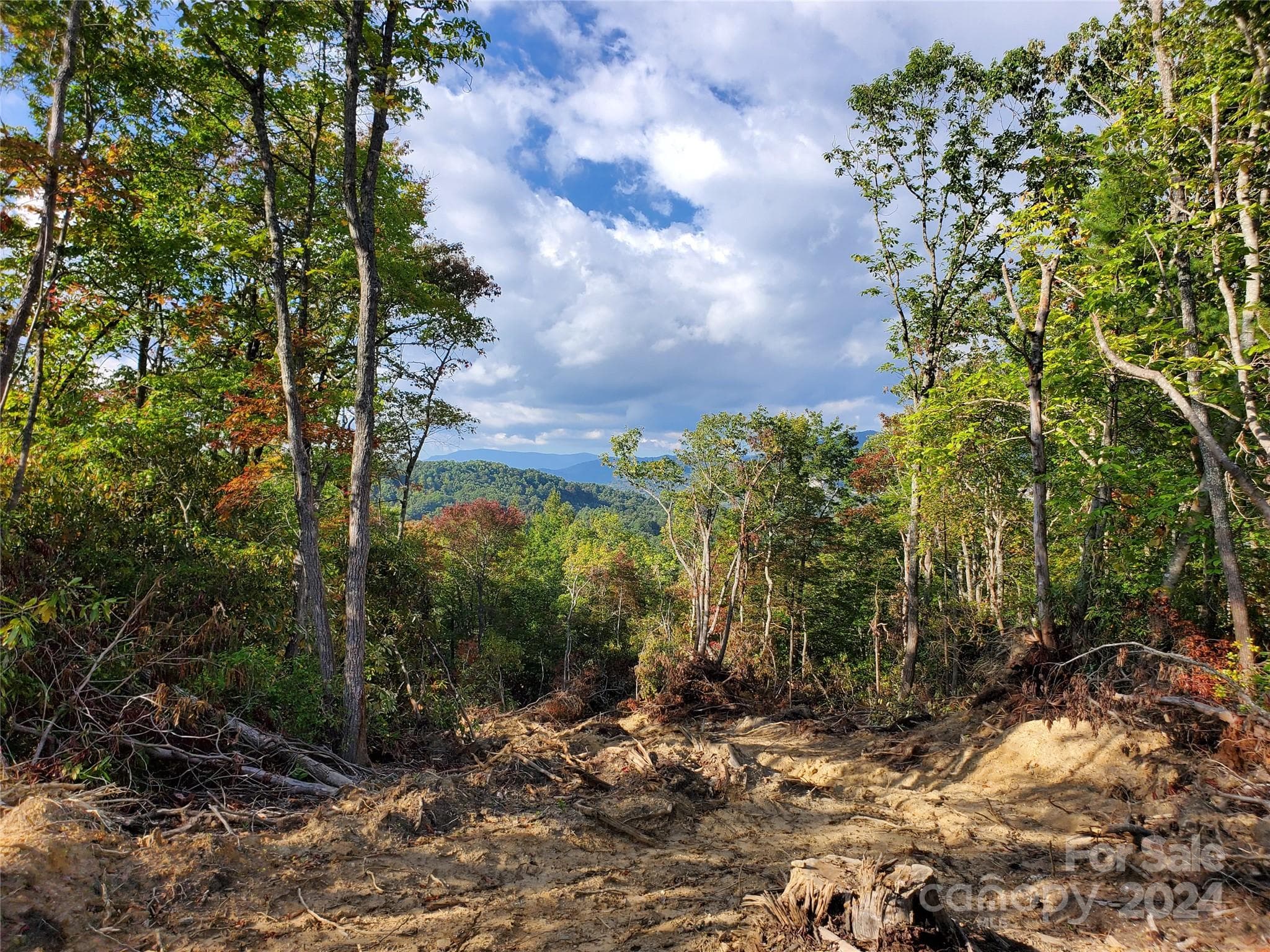 Acreage at TBD Parkwood Hill Road, Spruce Pine, photo 38 of 48