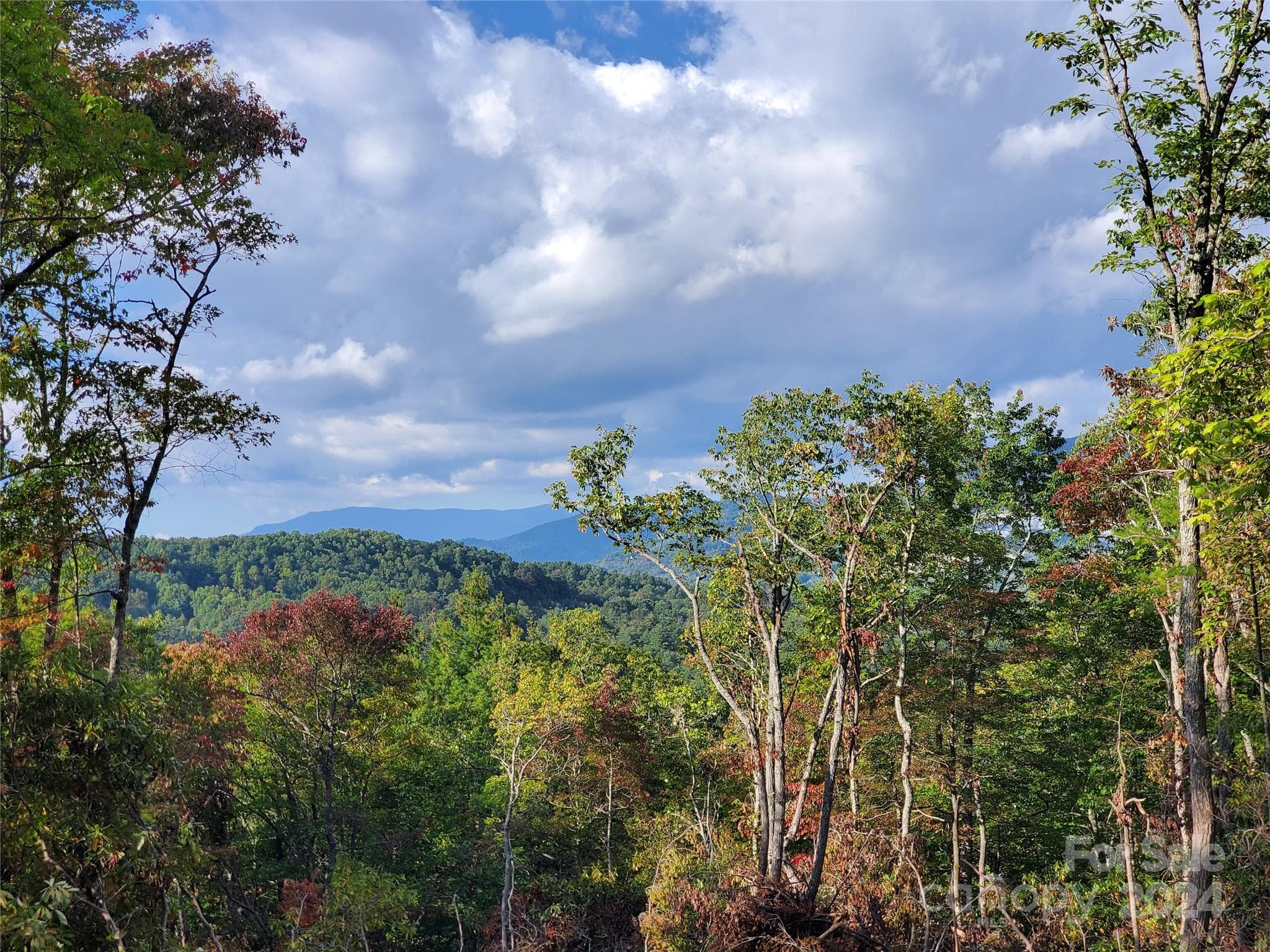 Acreage at TBD Parkwood Hill Road, Spruce Pine, photo 39 of 48