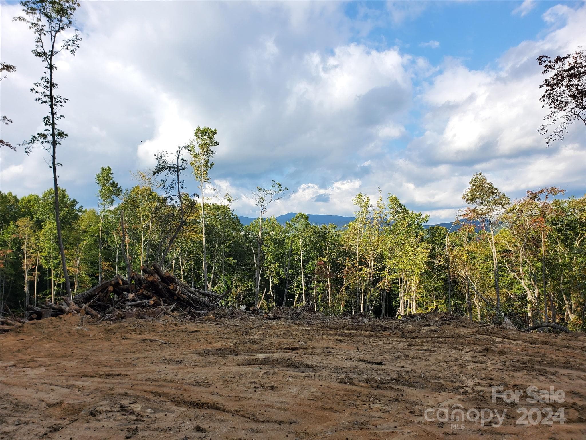 Acreage at TBD Parkwood Hill Road, Spruce Pine, photo 44 of 48