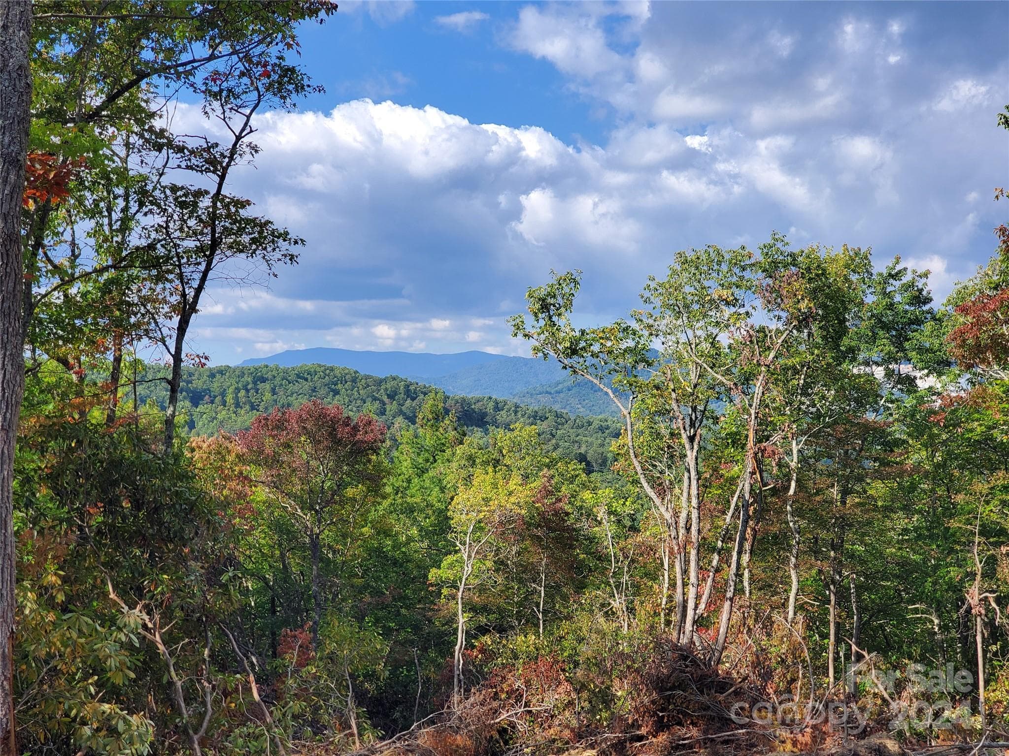 Acreage at TBD Parkwood Hill Road, Spruce Pine, photo 2 of 48