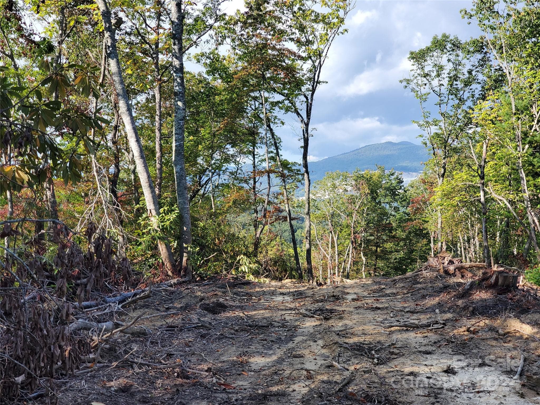 Acreage at TBD Parkwood Hill Road, Spruce Pine, photo 5 of 48