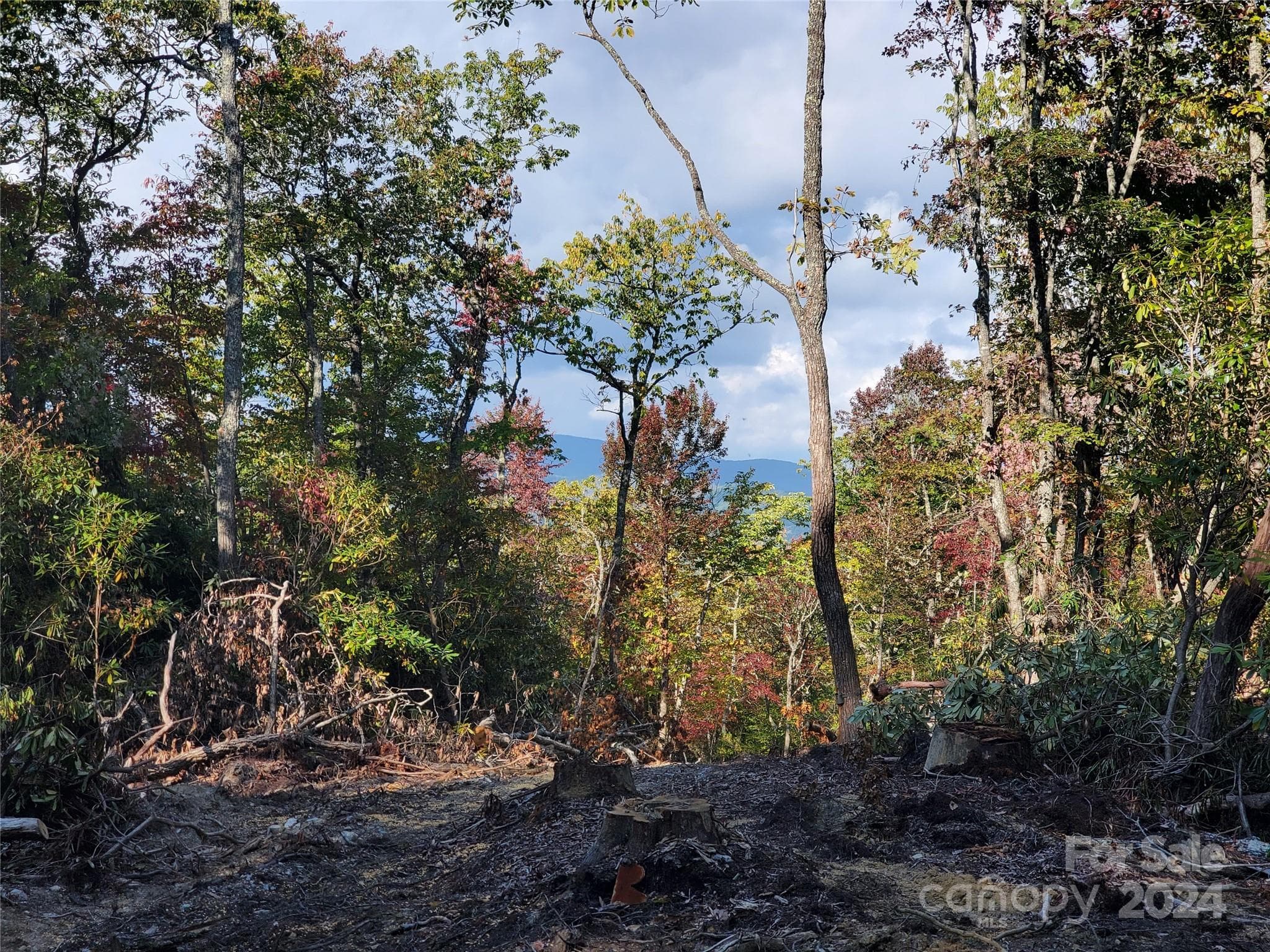 Acreage at TBD Parkwood Hill Road, Spruce Pine, photo 9 of 48