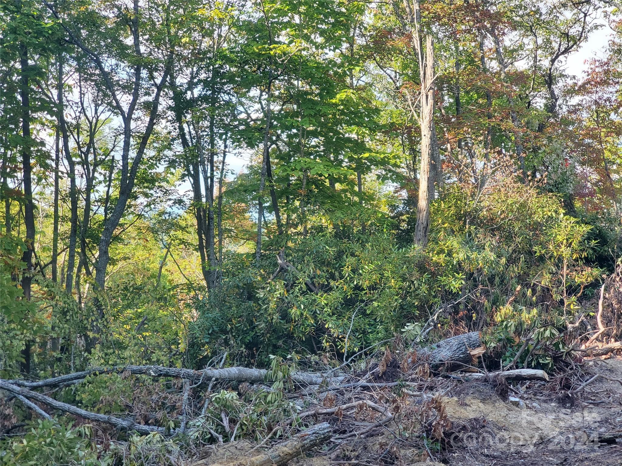 Acreage at TBD Parkwood Hill Road, Spruce Pine, photo 11 of 48