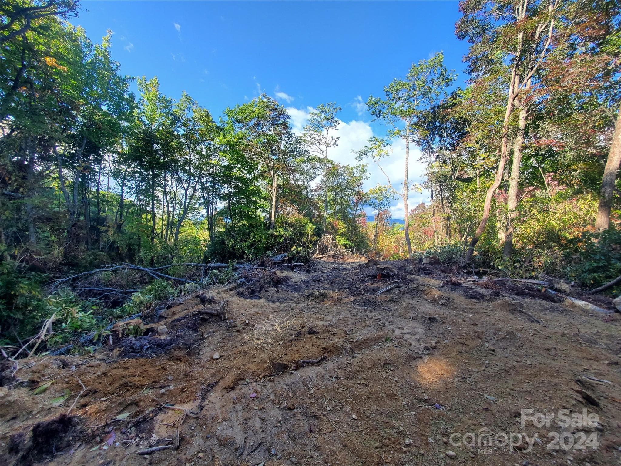 Acreage at TBD Parkwood Hill Road, Spruce Pine, photo 12 of 48