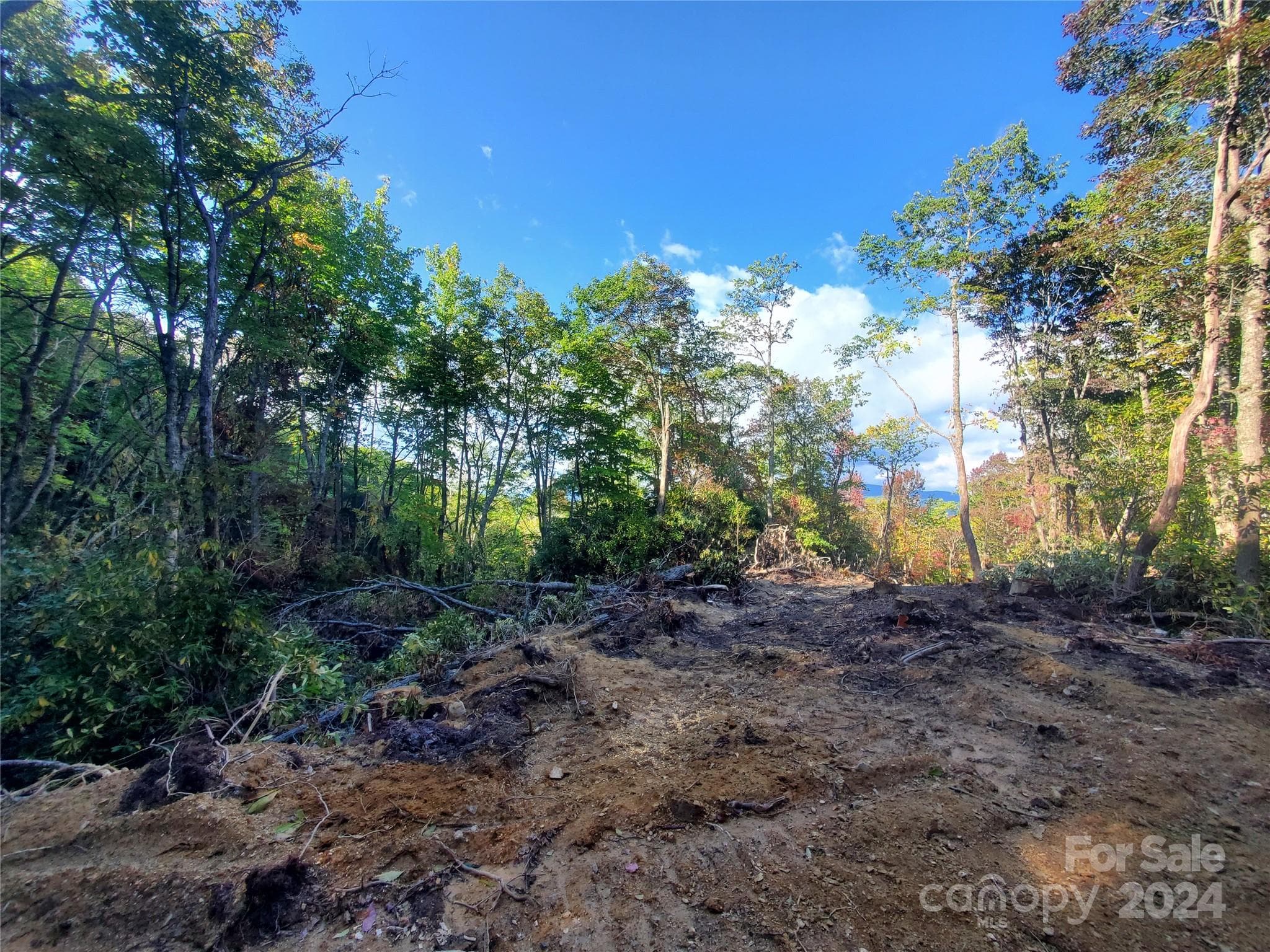 Acreage at TBD Parkwood Hill Road, Spruce Pine, photo 13 of 48