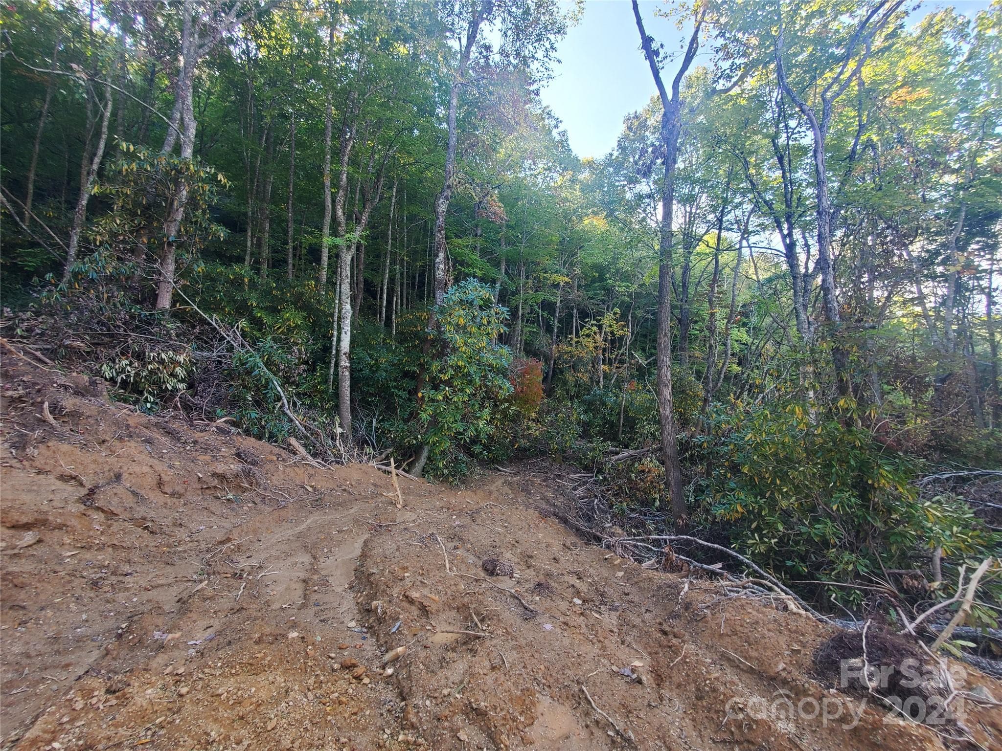 Acreage at TBD Parkwood Hill Road, Spruce Pine, photo 14 of 48