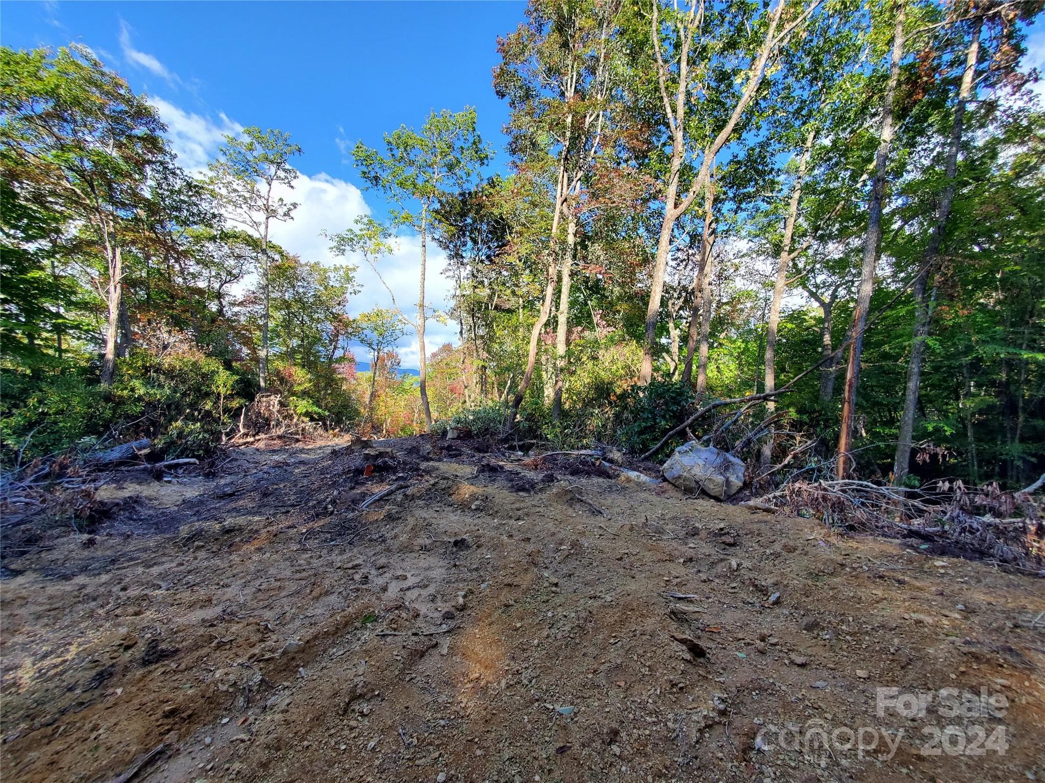 Acreage at TBD Parkwood Hill Road, Spruce Pine, photo 16 of 48