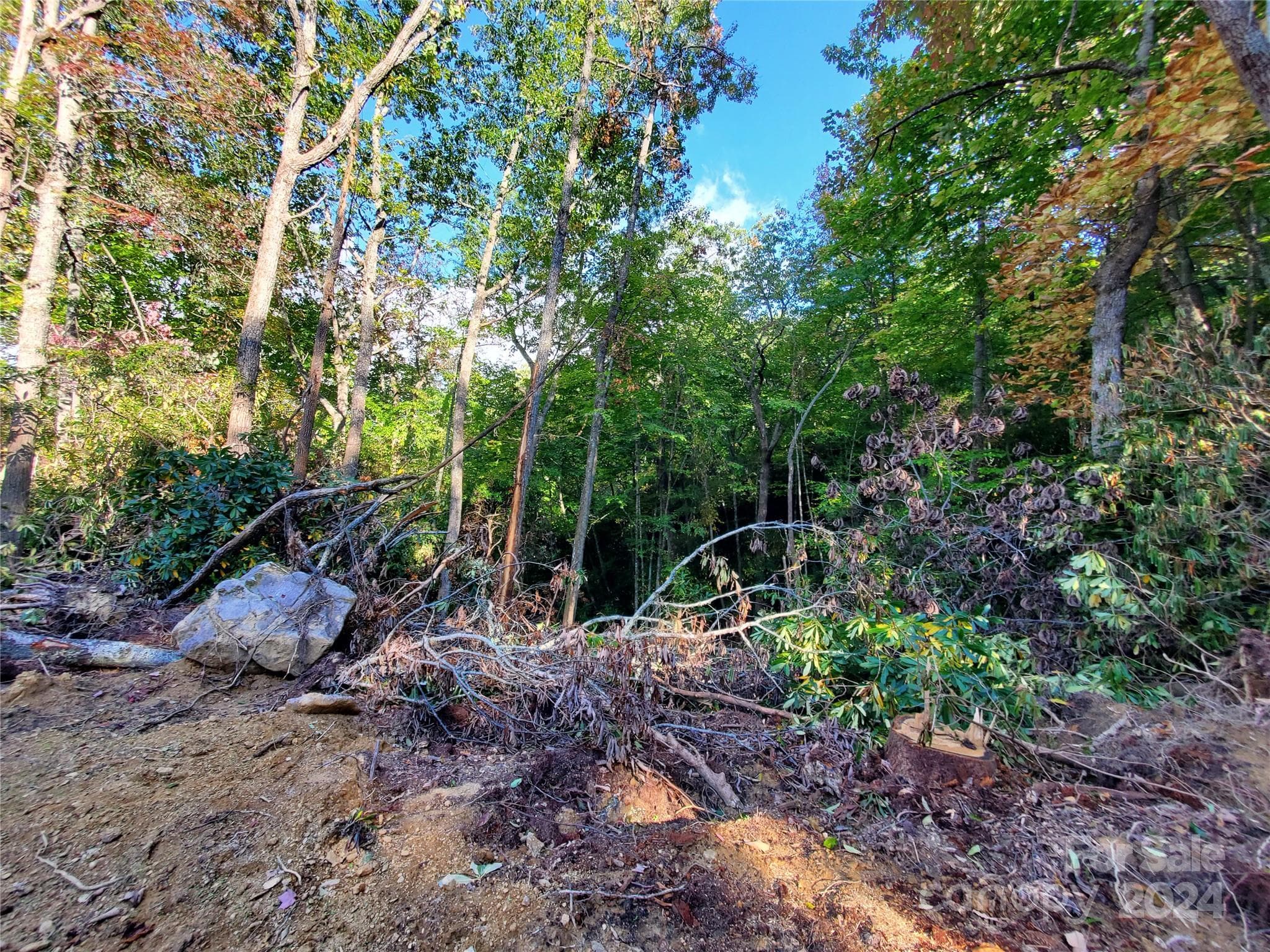 Acreage at TBD Parkwood Hill Road, Spruce Pine, photo 17 of 48
