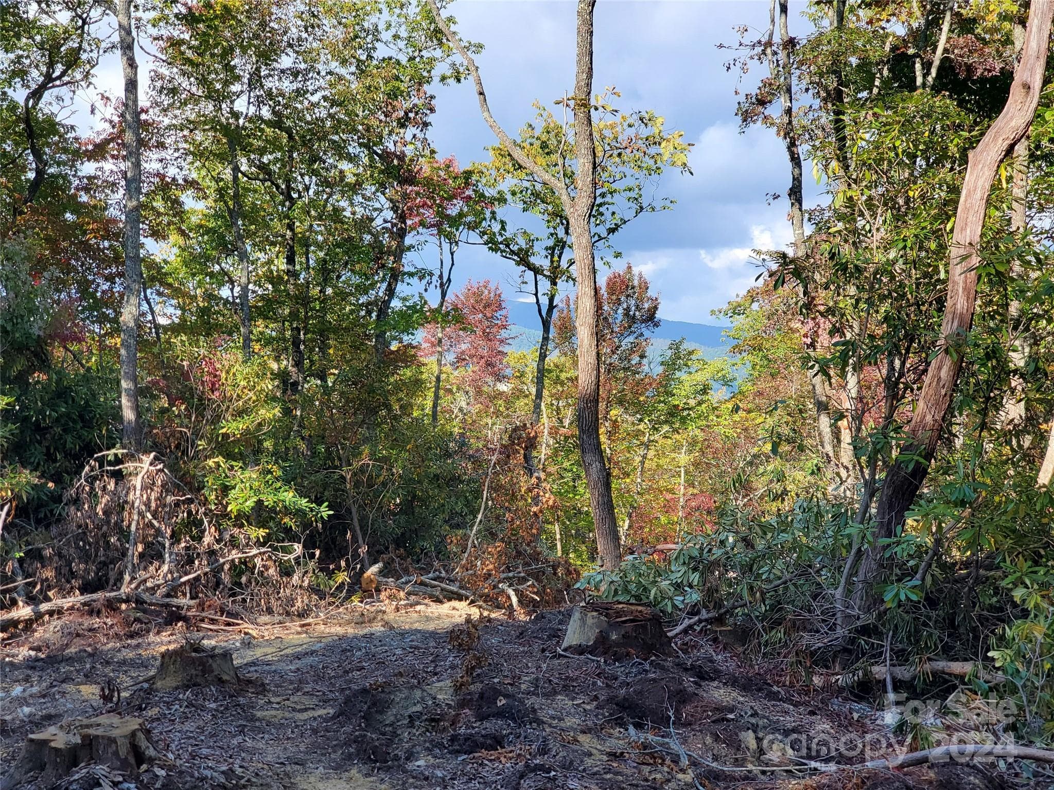 Acreage at TBD Parkwood Hill Road, Spruce Pine, photo 19 of 48