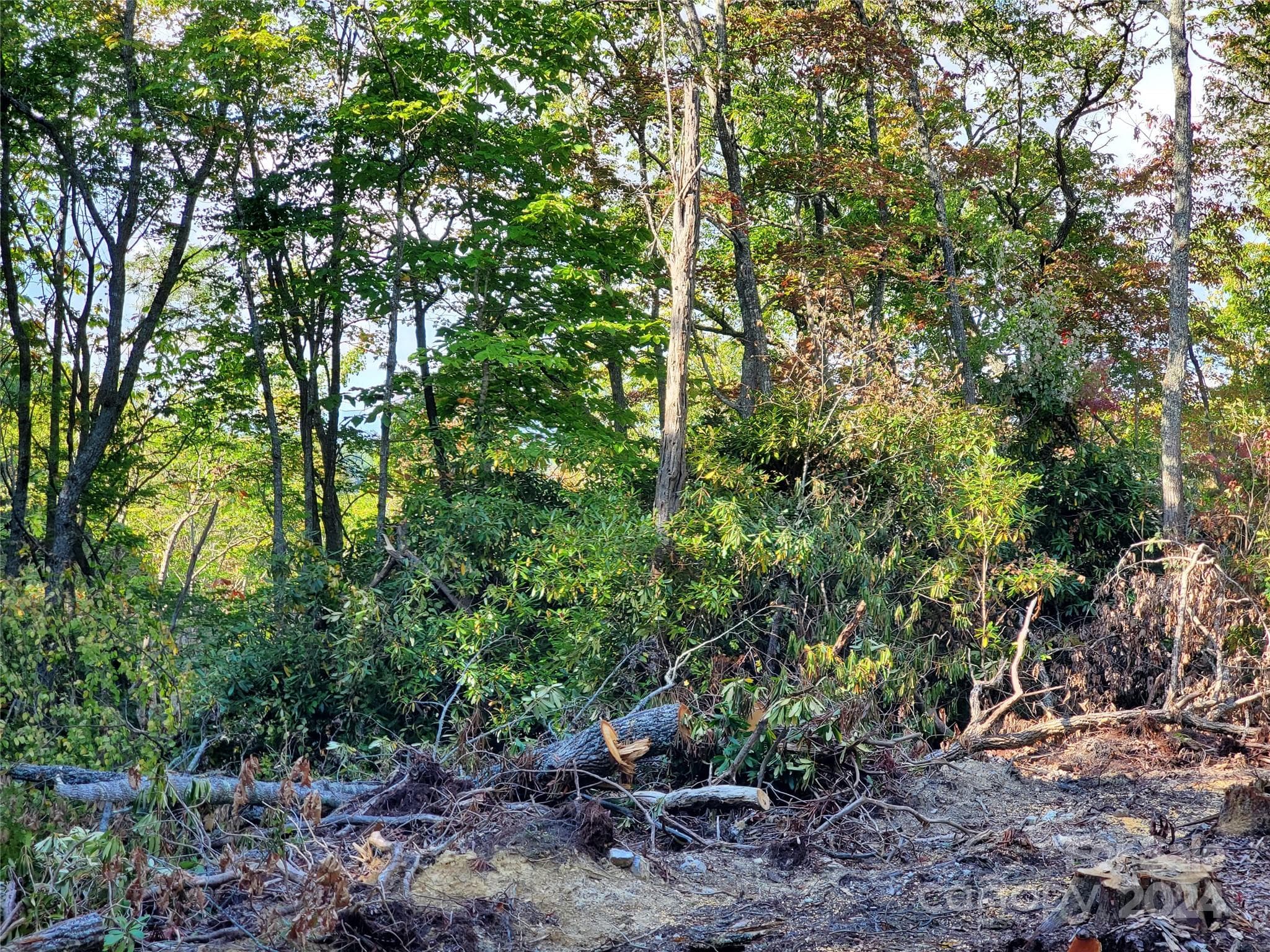 Acreage at TBD Parkwood Hill Road, Spruce Pine, photo 20 of 48