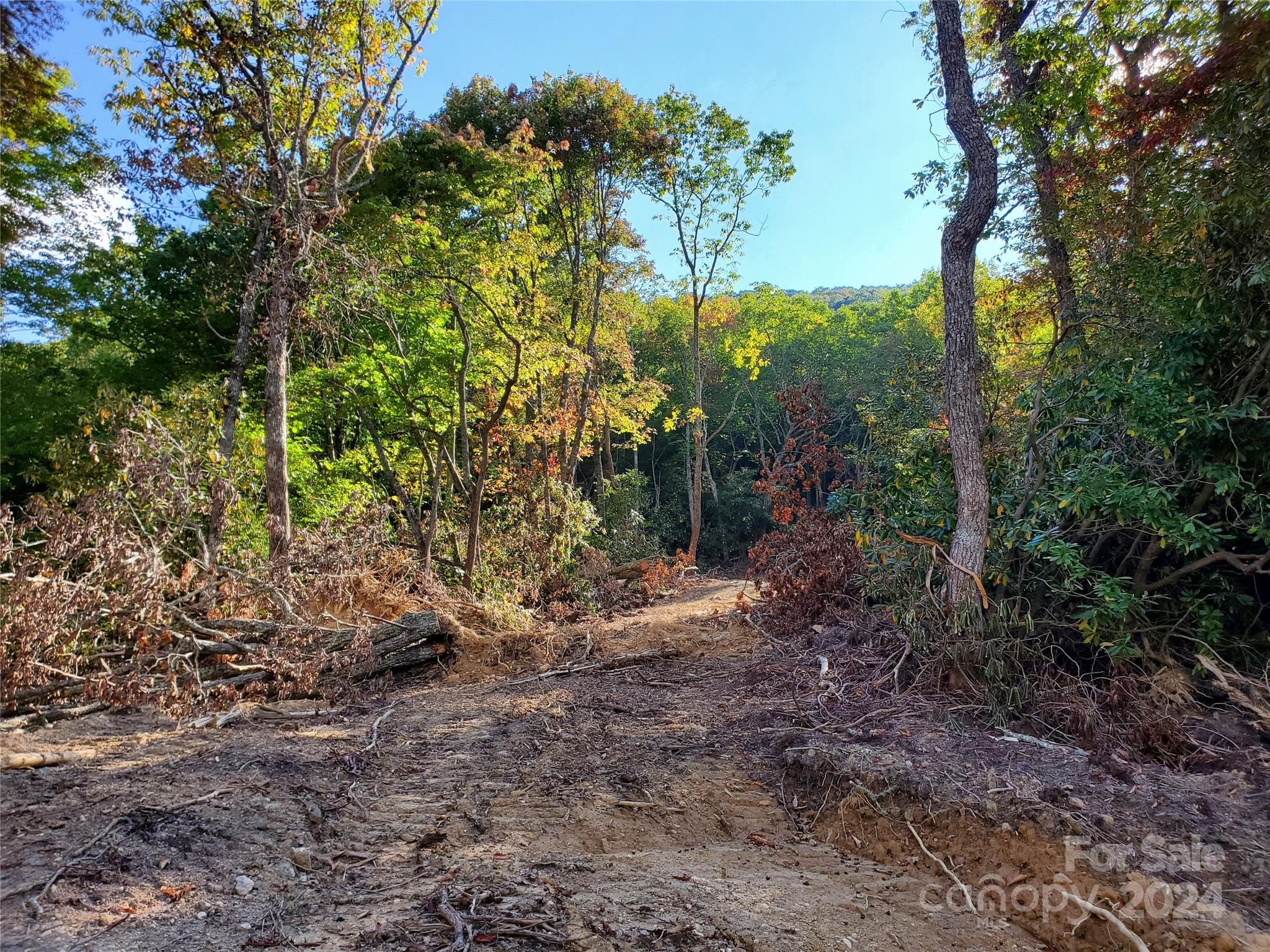 Acreage at TBD Parkwood Hill Road, Spruce Pine, photo 25 of 48