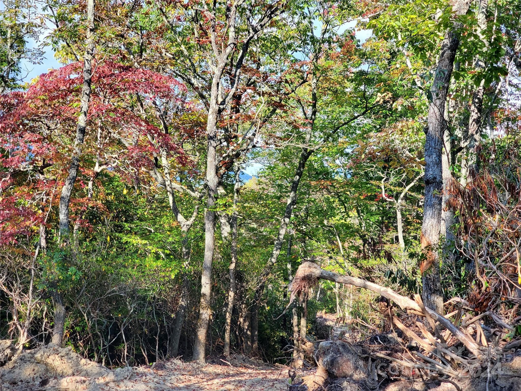Acreage at TBD Parkwood Hill Road, Spruce Pine, photo 28 of 48