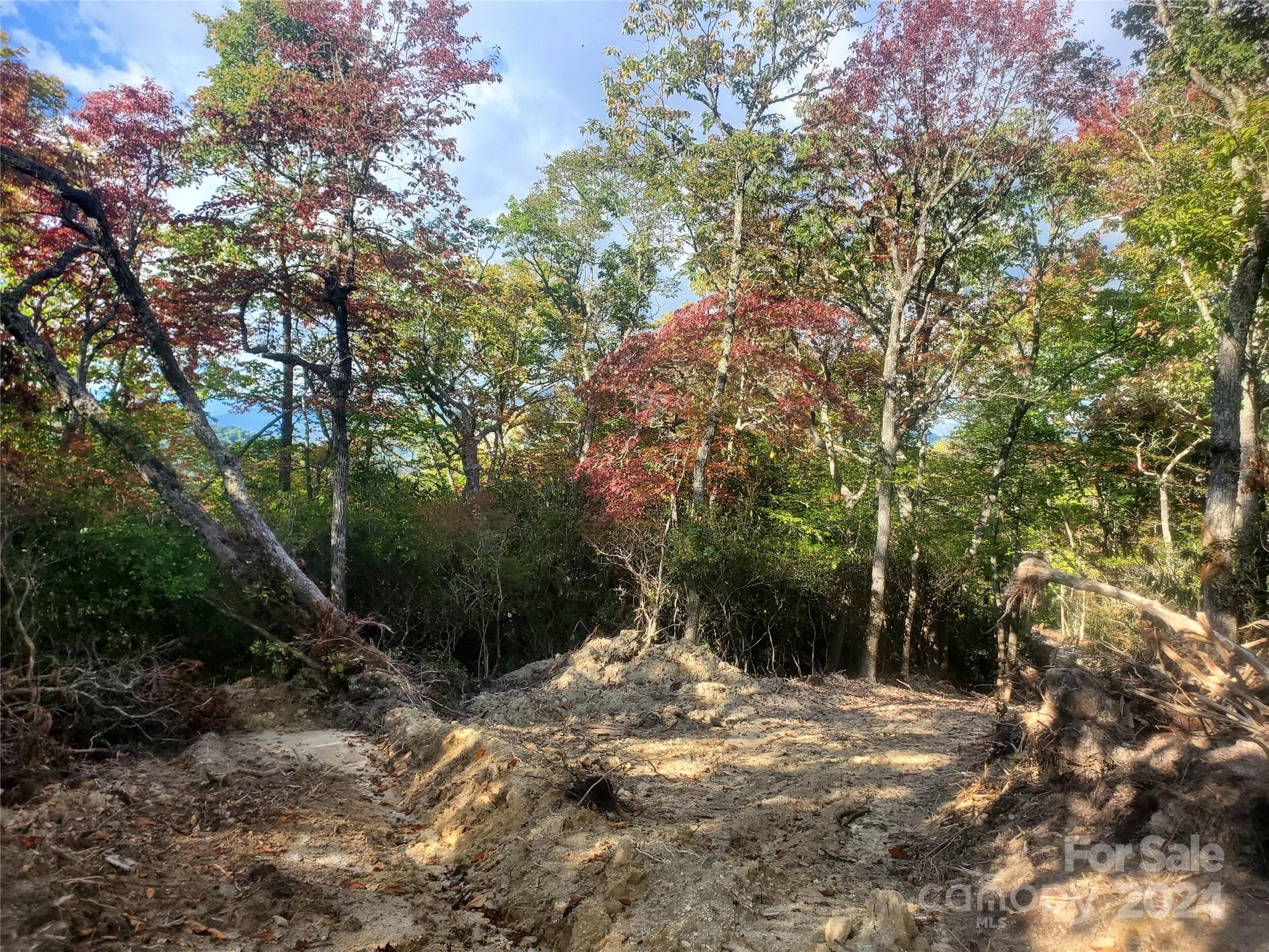 Acreage at TBD Parkwood Hill Road, Spruce Pine, photo 29 of 48