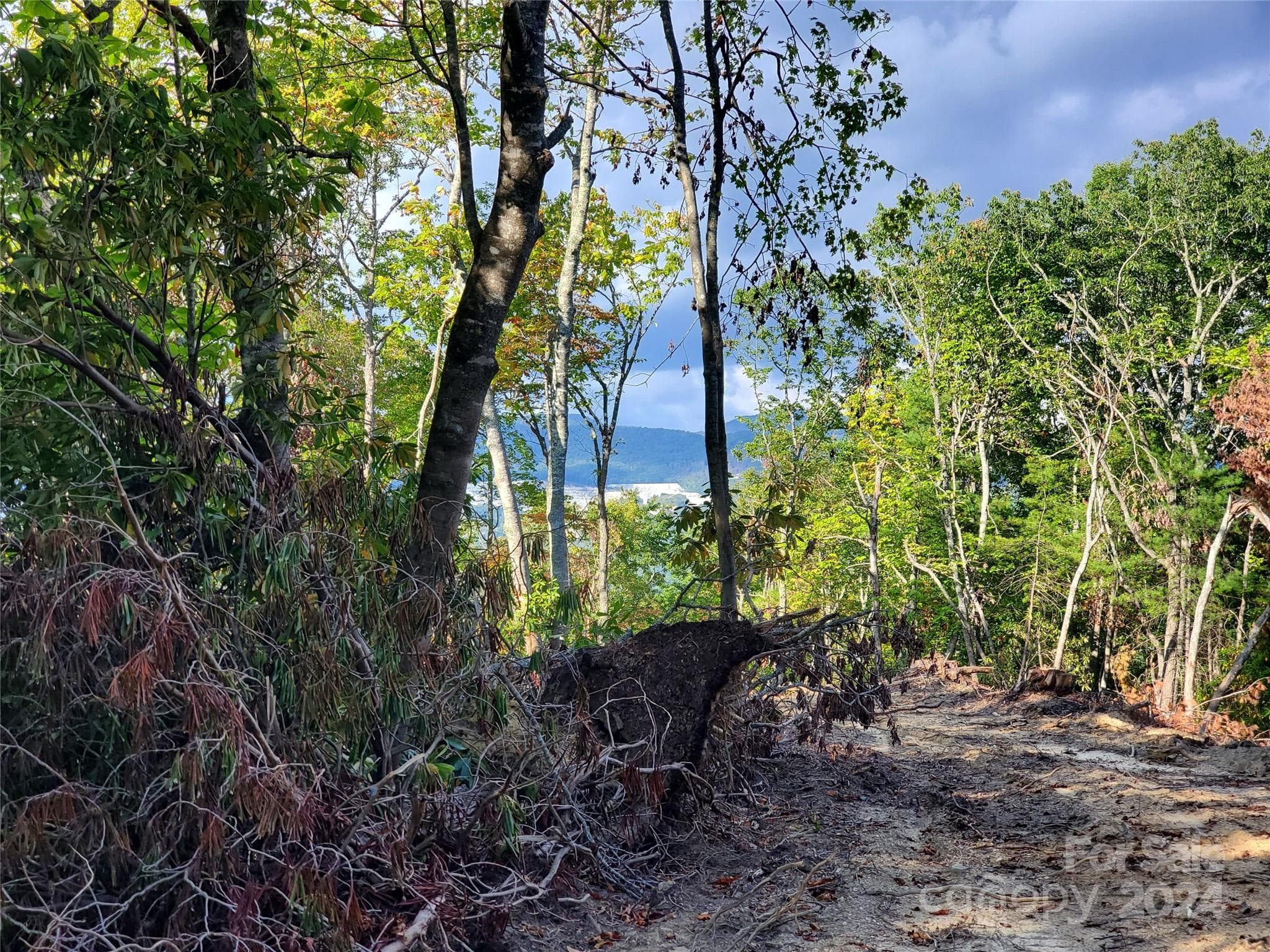 Acreage at TBD Parkwood Hill Road, Spruce Pine, photo 32 of 48