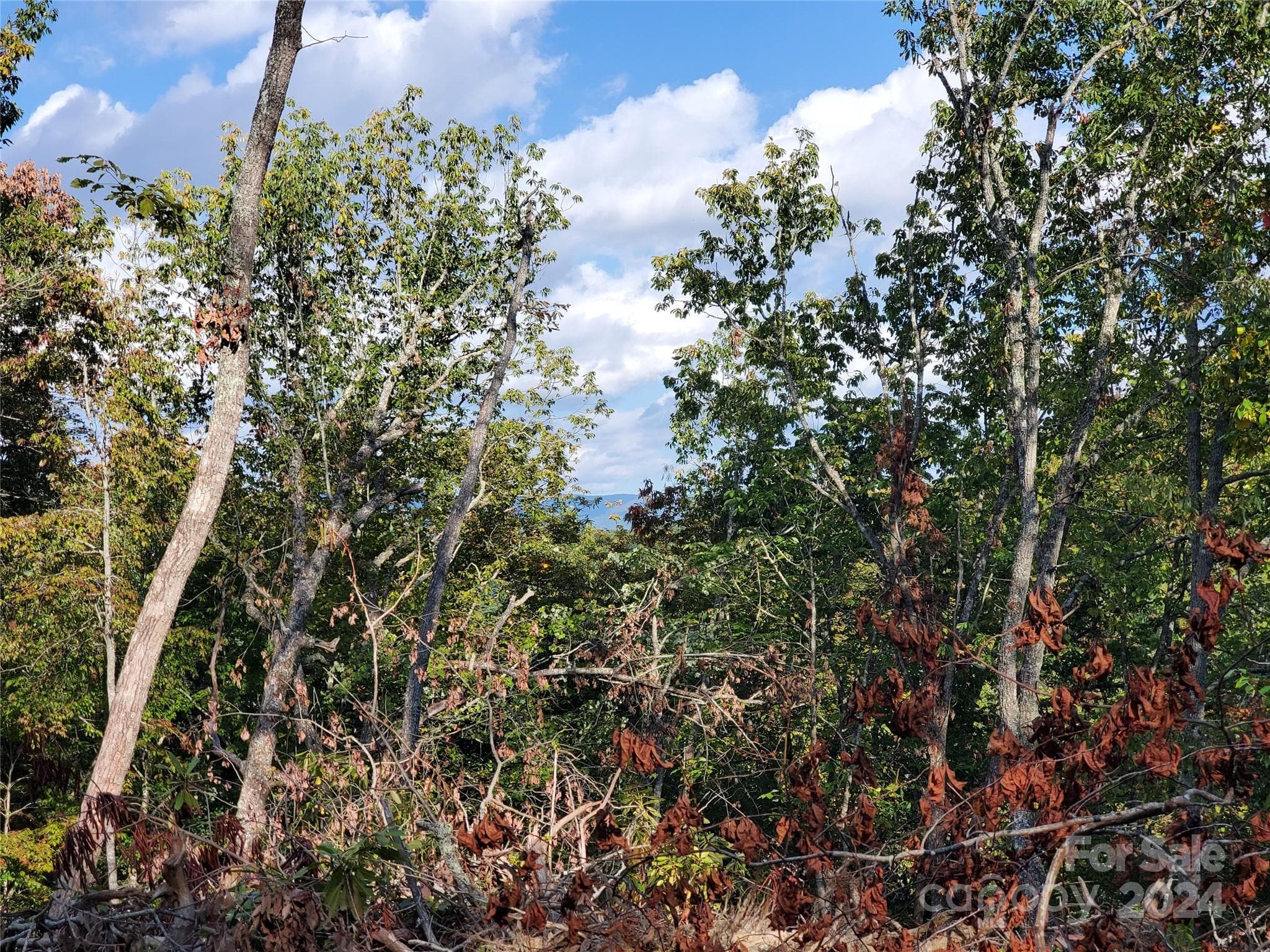 Acreage at TBD Parkwood Hill Road, Spruce Pine, photo 33 of 48