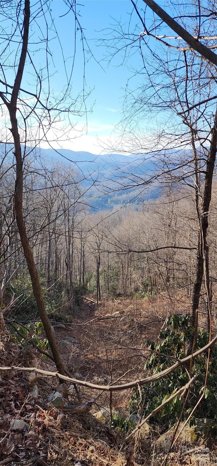Lot at Black Mountain, photo 2 of 11