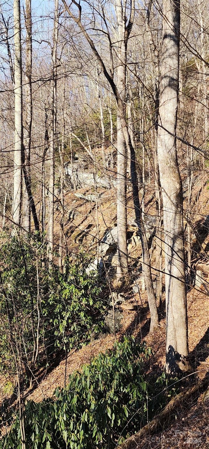 Lot at Black Mountain, photo 4 of 11