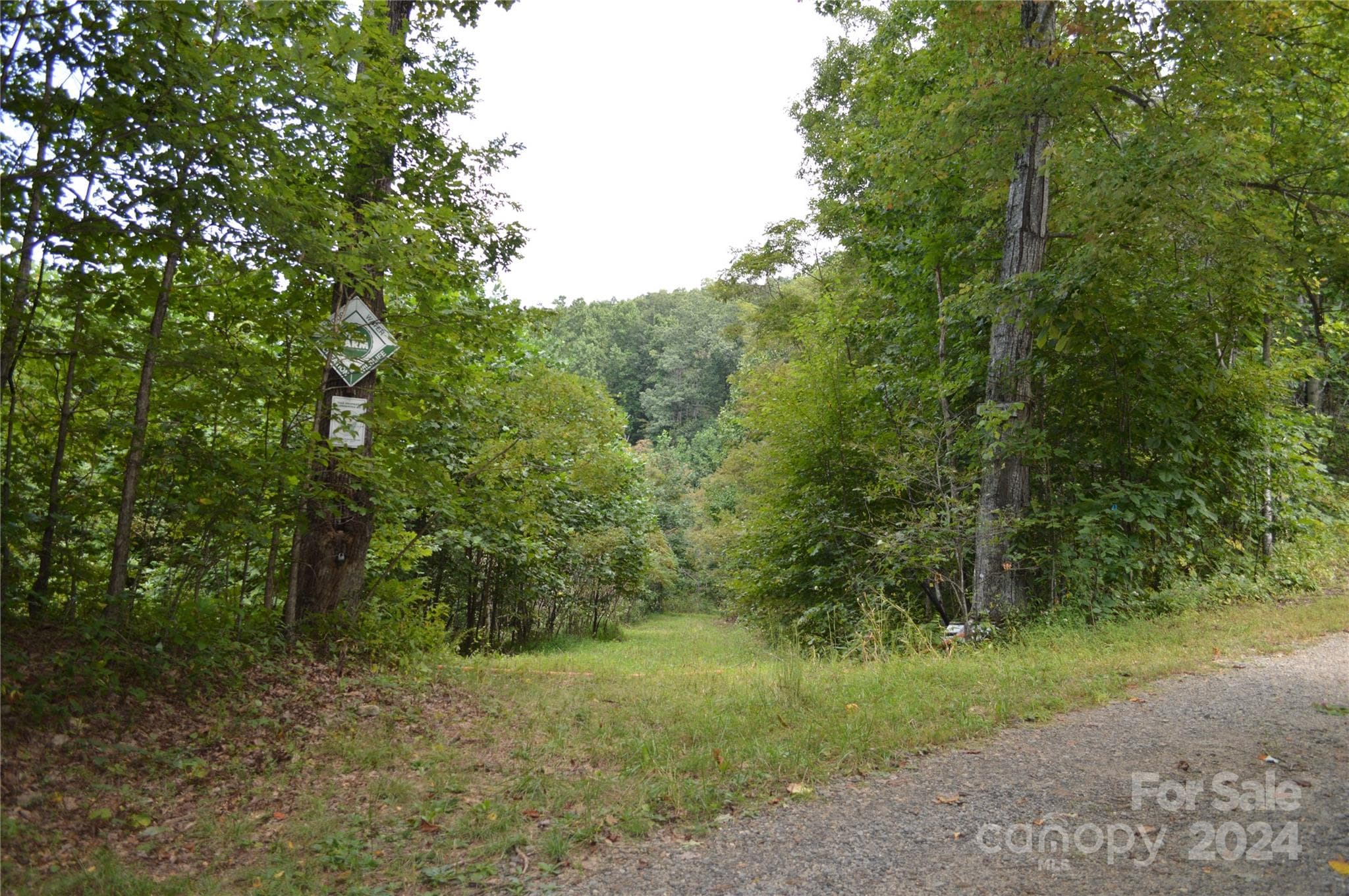 Lot at Black Mountain, photo 6 of 11