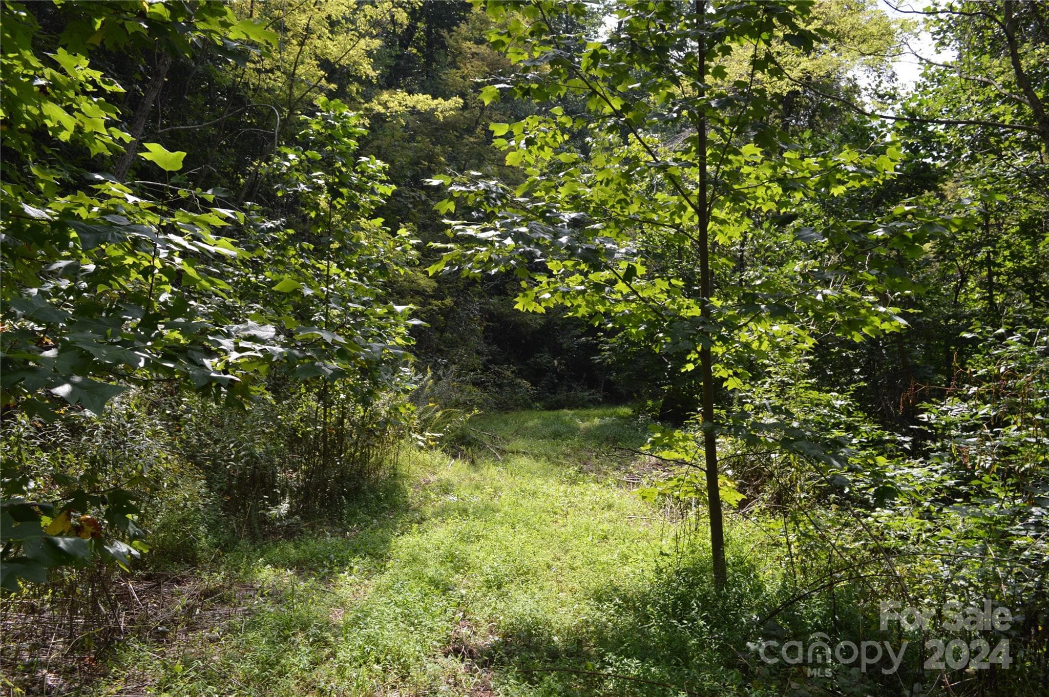 Lot at Black Mountain, photo 8 of 11