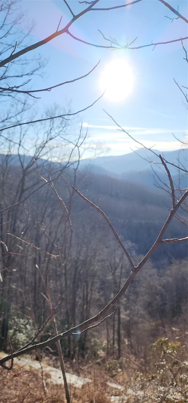Lot at Black Mountain, photo 9 of 11