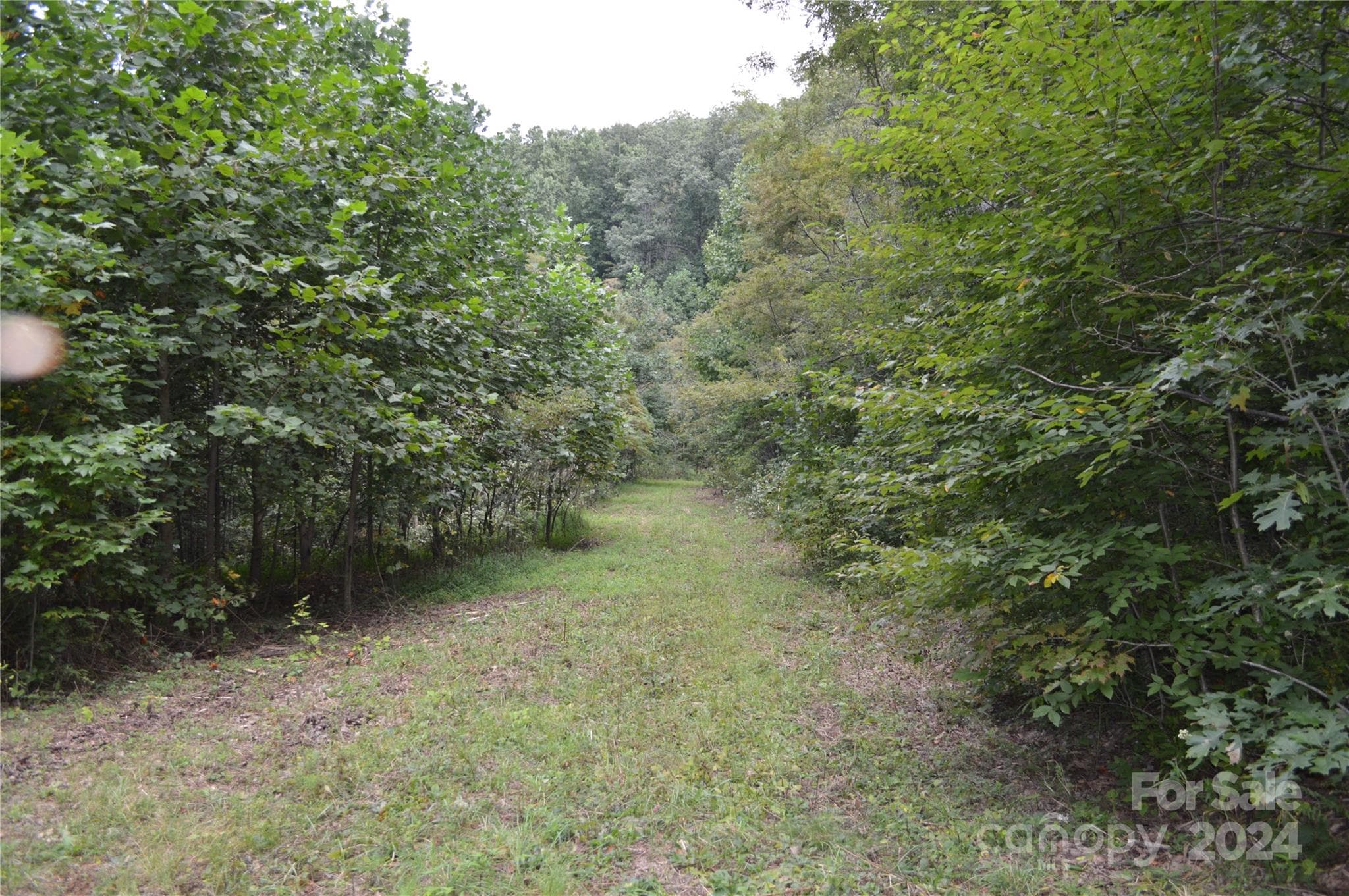 Lot at Black Mountain, photo 7 of 11