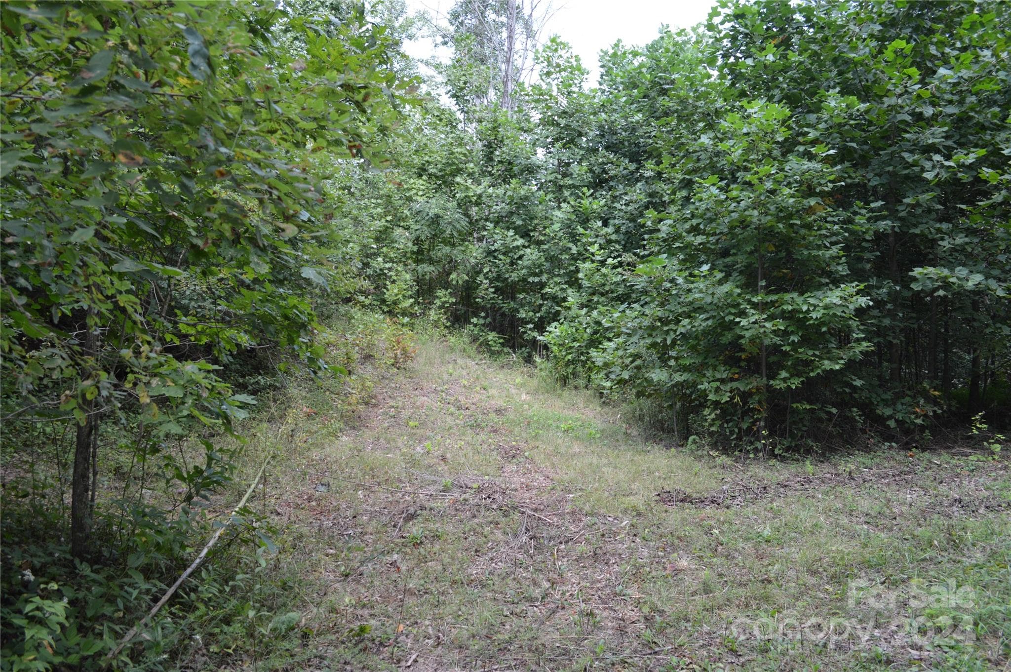Lot at Black Mountain, photo 9 of 11