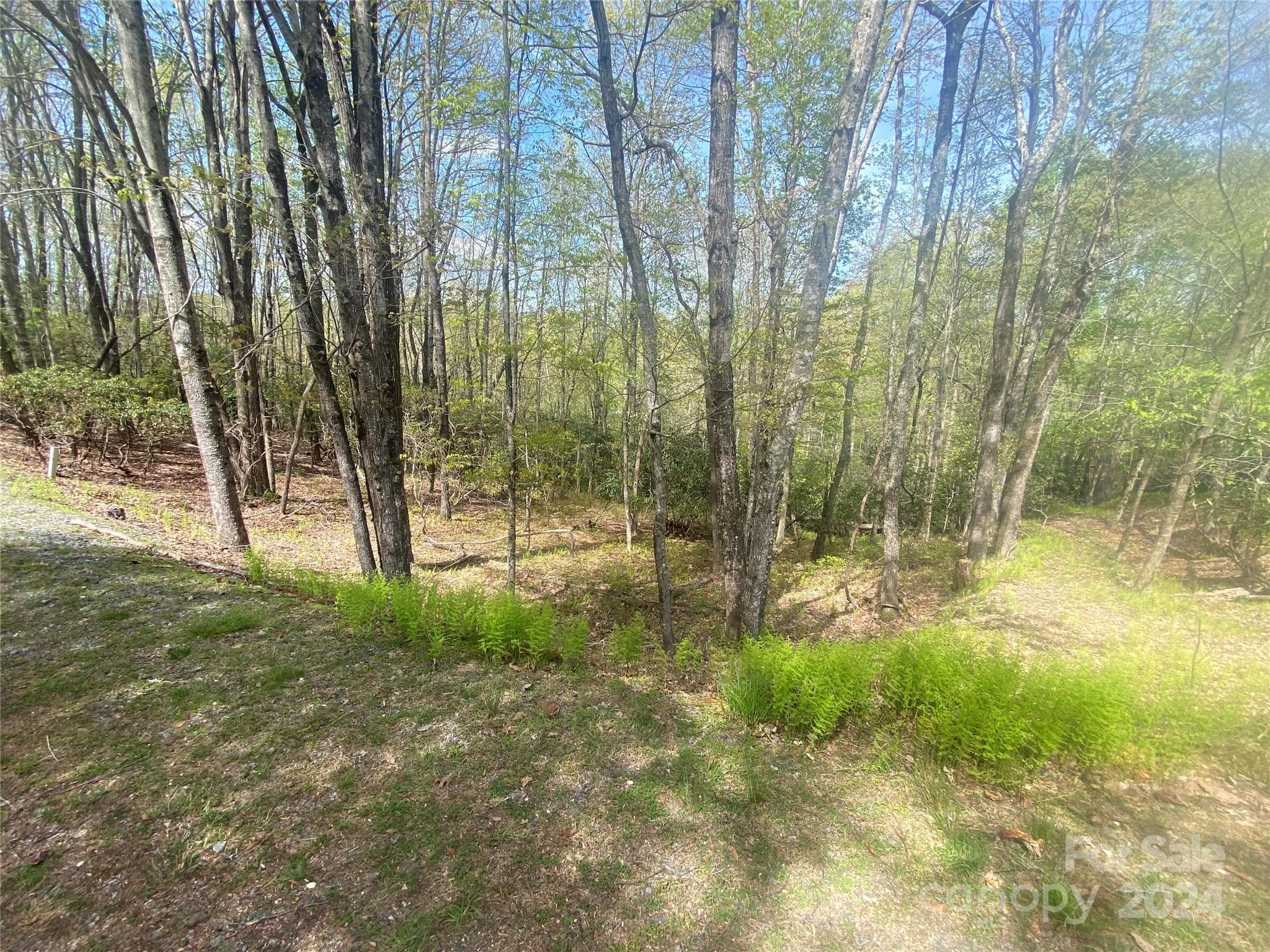 Spring 2 - TBD Elaqua Court, Brevard