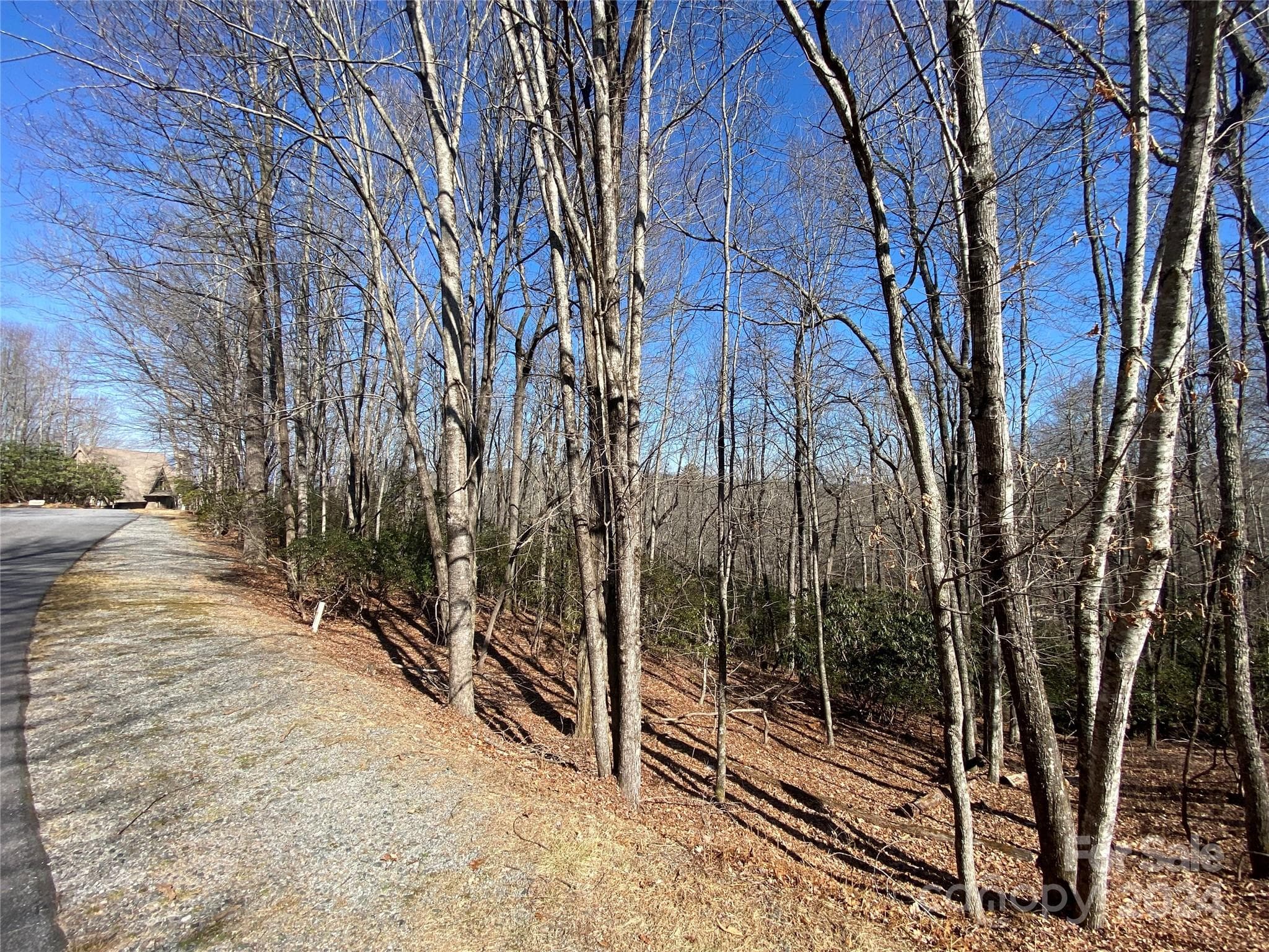 Winter 3 - TBD Elaqua Court, Brevard