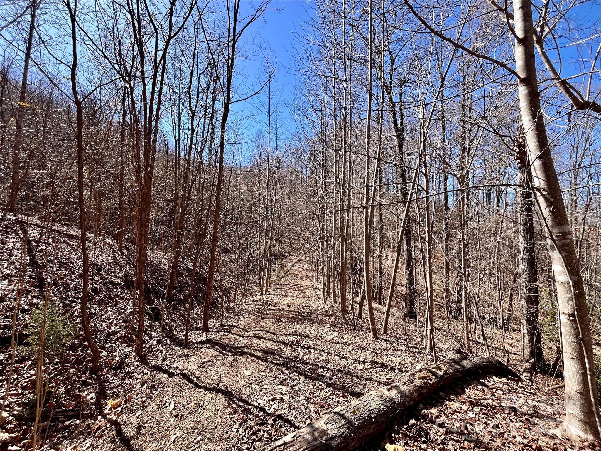 Lot at Lot 147 Big View Drive, Marion, photo 42 of 45
