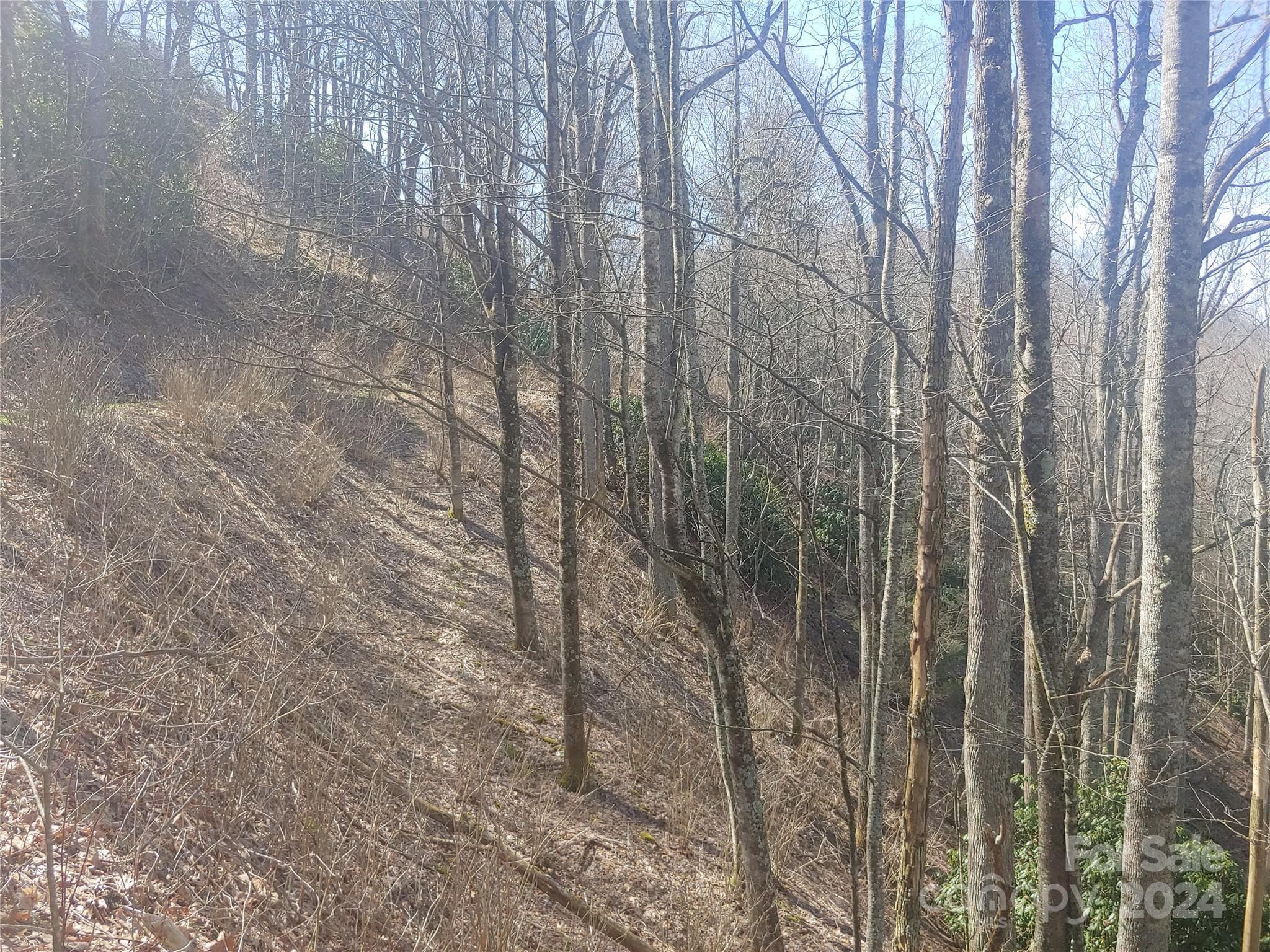 Lot at Clyde, photo 2 of 2