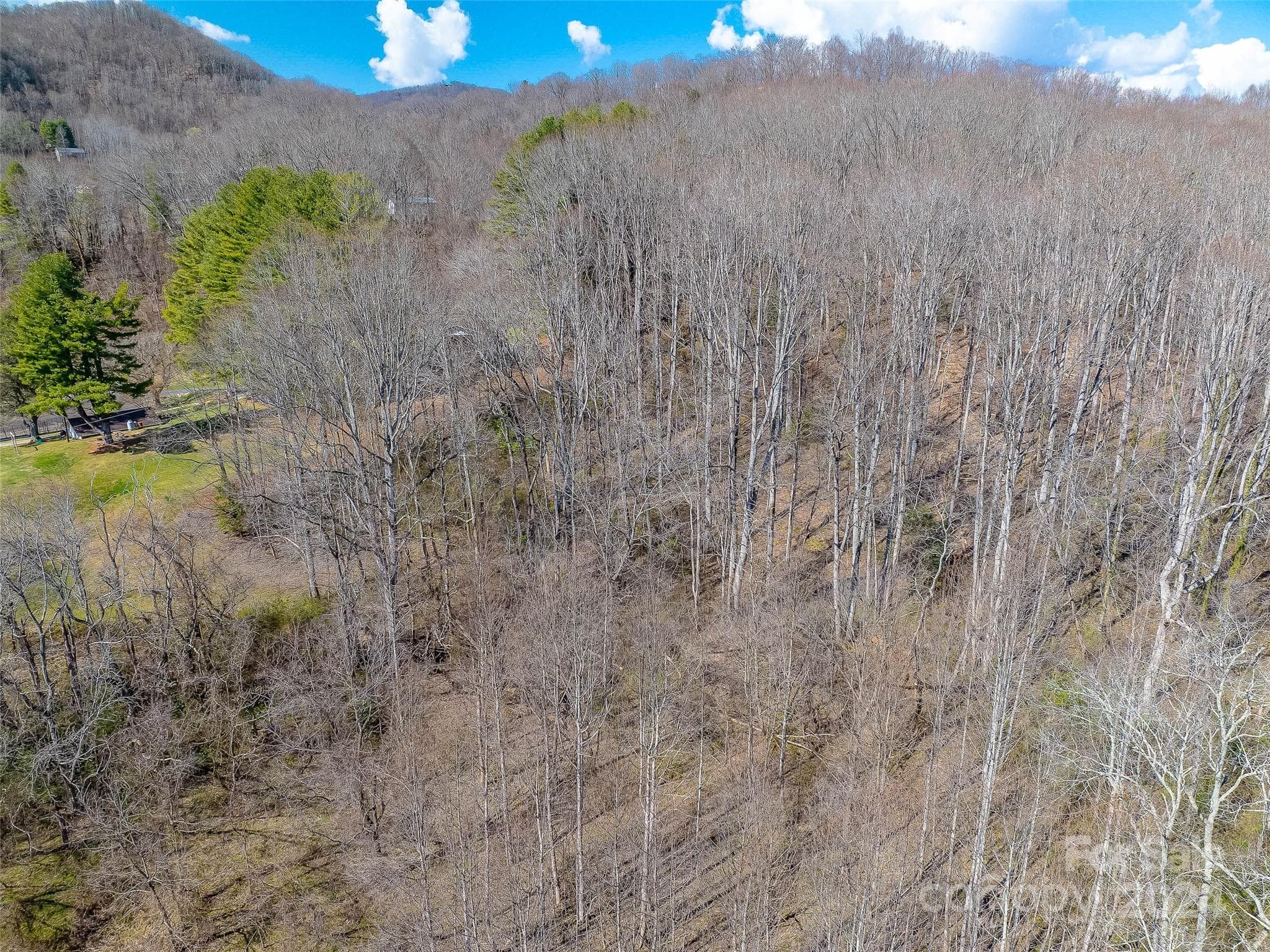 Lot at Waynesville, photo 8 of 8
