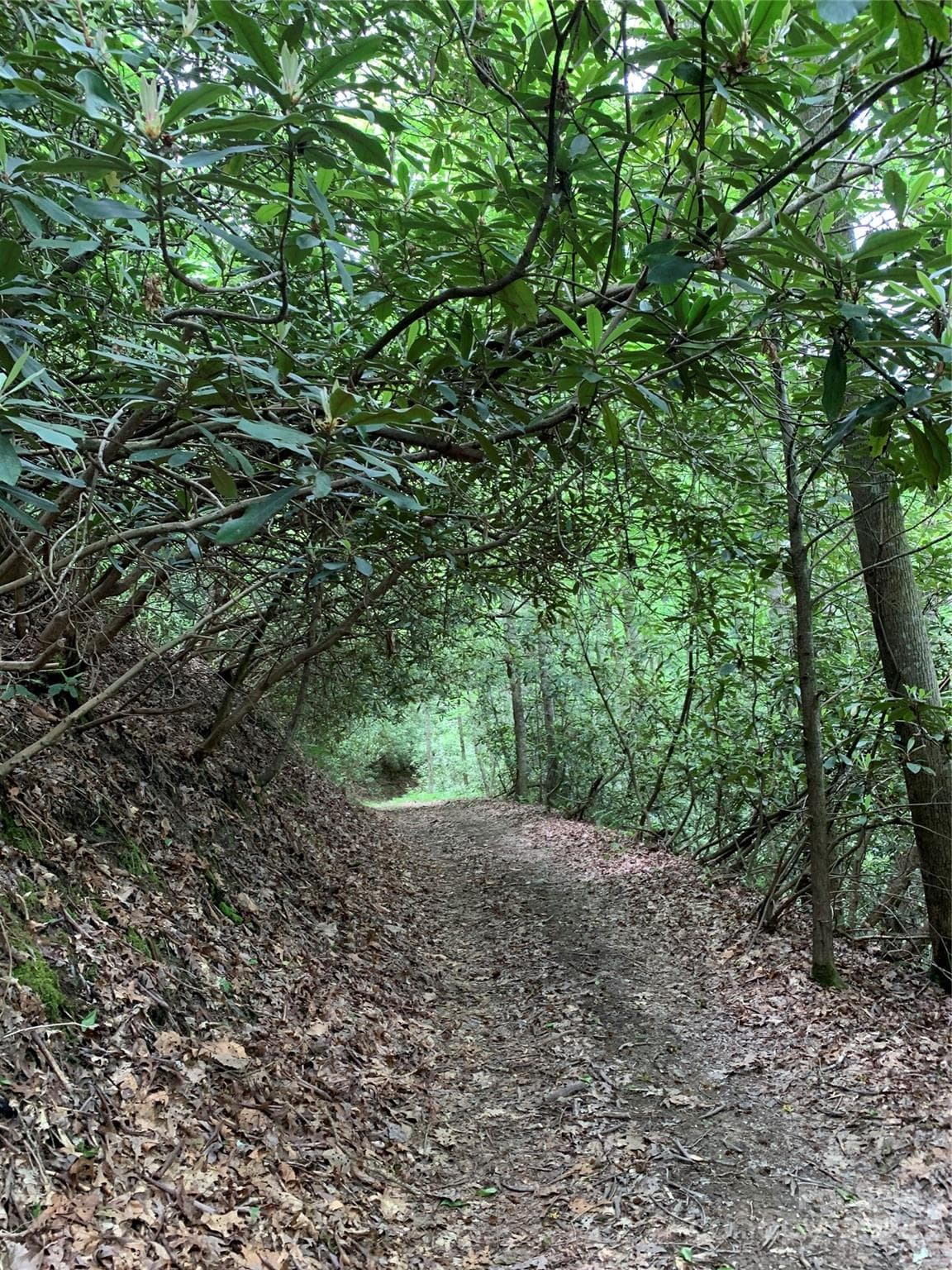 Hike or ride your UTV through one of these private neighborhood trails! - 75 Raccoon Run, Marshall